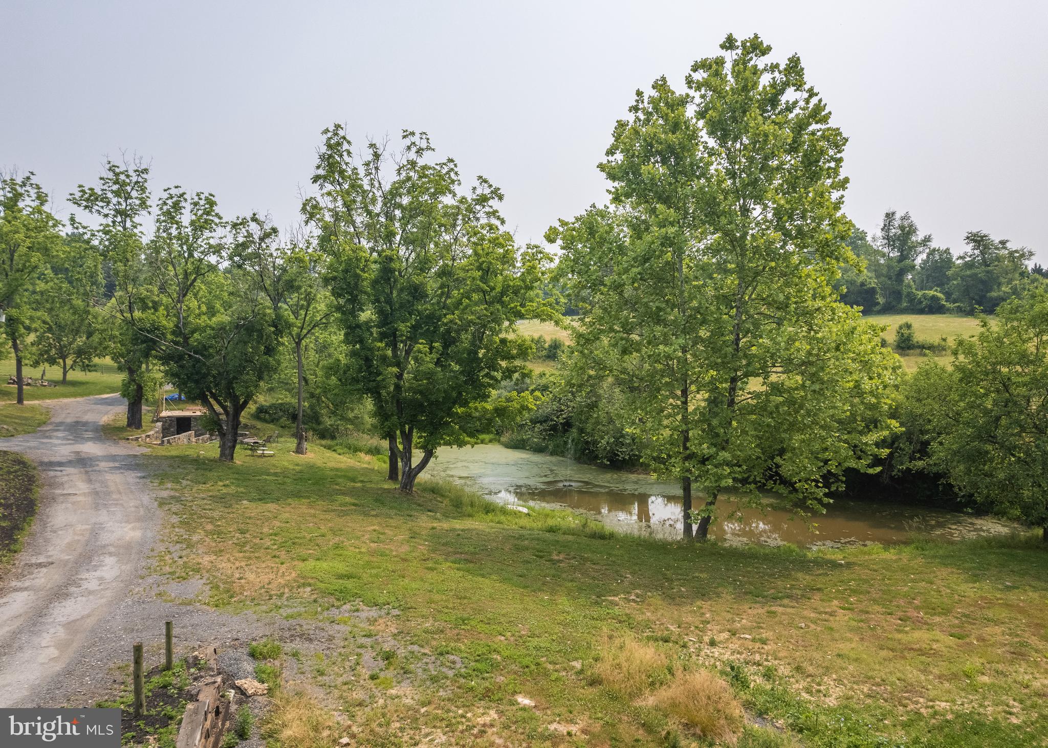 DOGWOOD - Farm