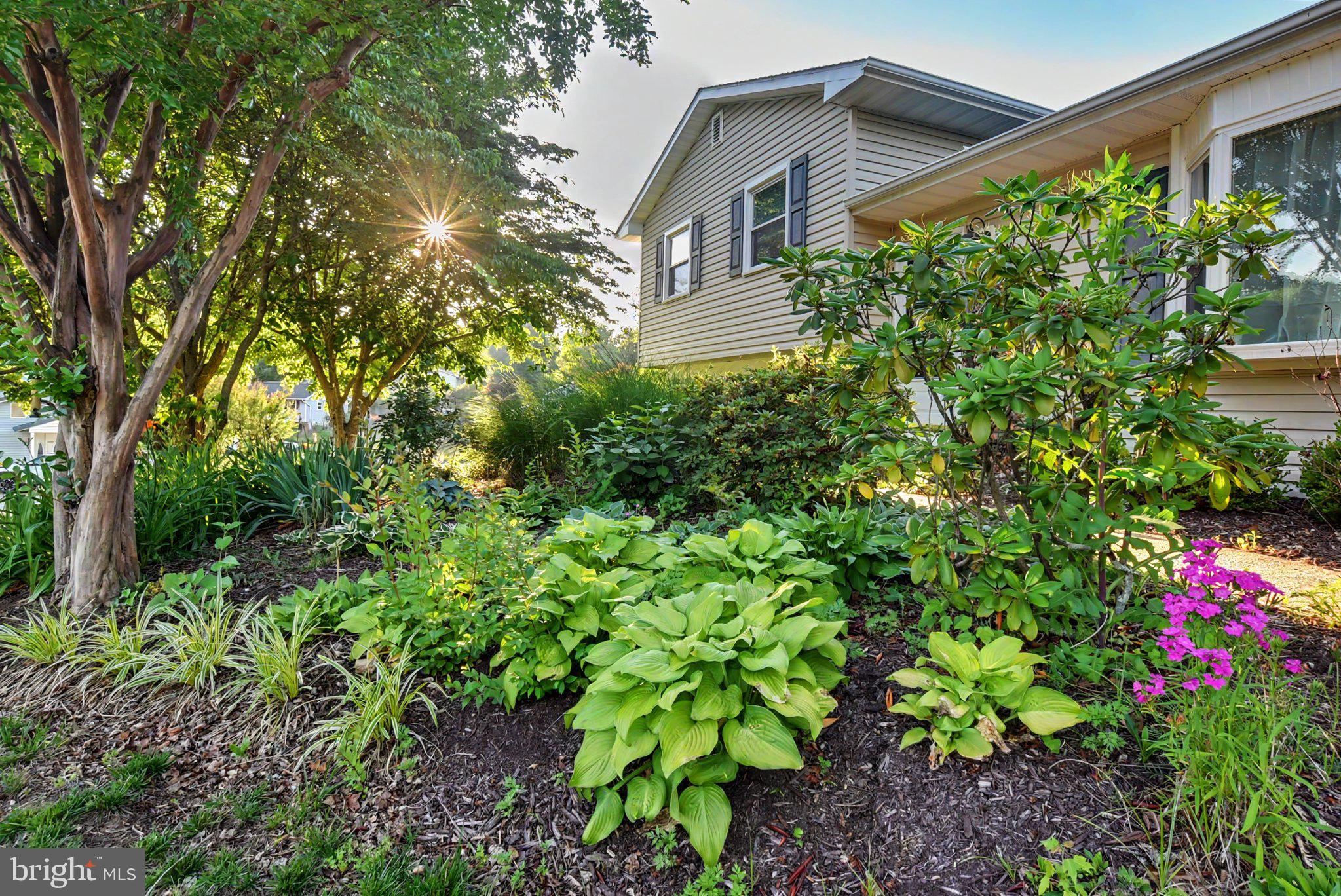 RIVA FARMS - Residential