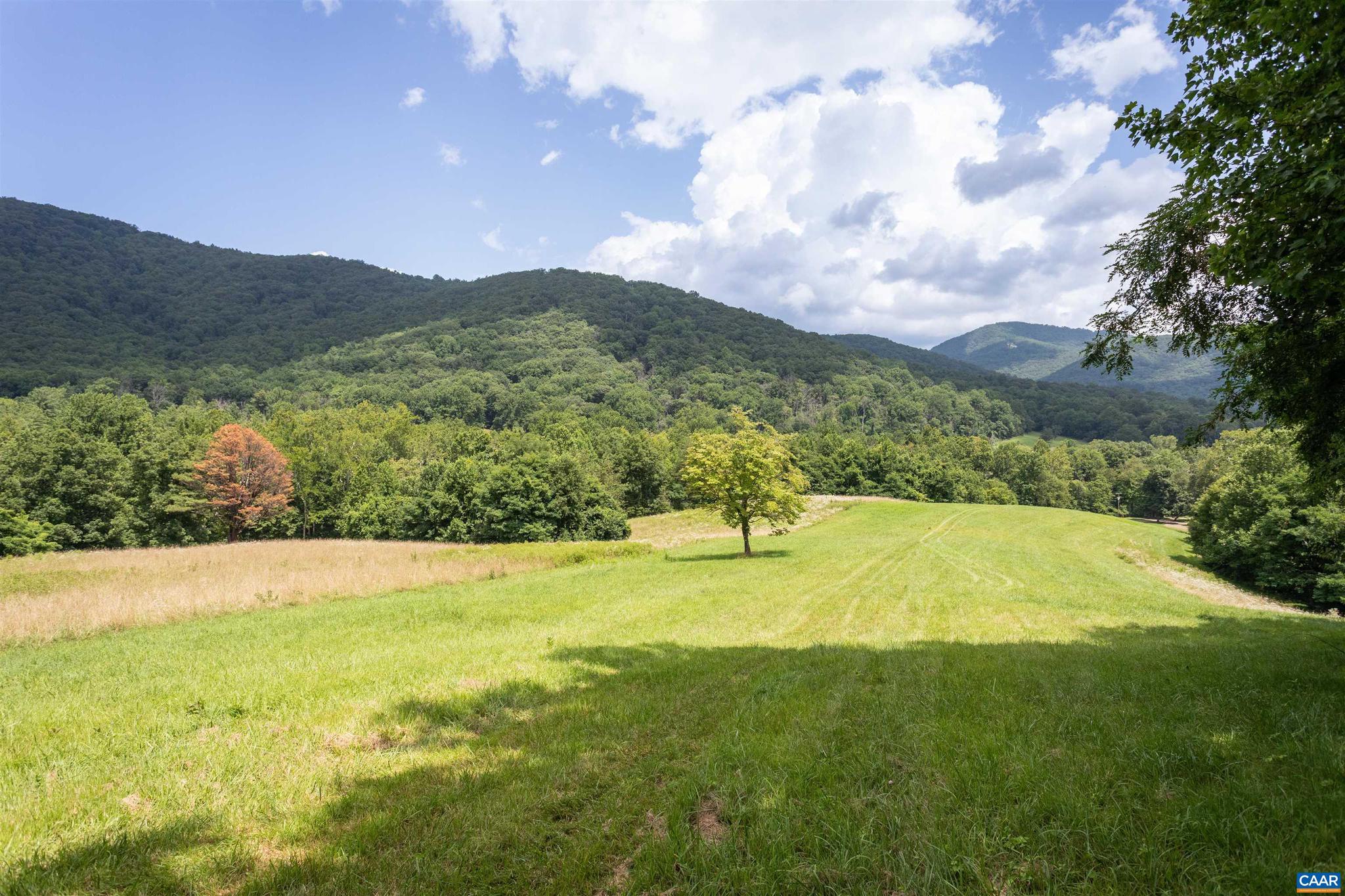 378 stunning acres located west of Charlottesville in the foot of the Blue Ridge, sharing a long boundary with the Shenandoah National Park. The land has numerous elevated building sites with amazing views, and complete privacy, and includes long frontage on the head waters of the Doyles River. With a significant trail system, the property is ideal for hiking, riding, and hunting.  Land is protected by a conservation easement. Rare opportunity to own a significant parcel that adjoins the National Park.