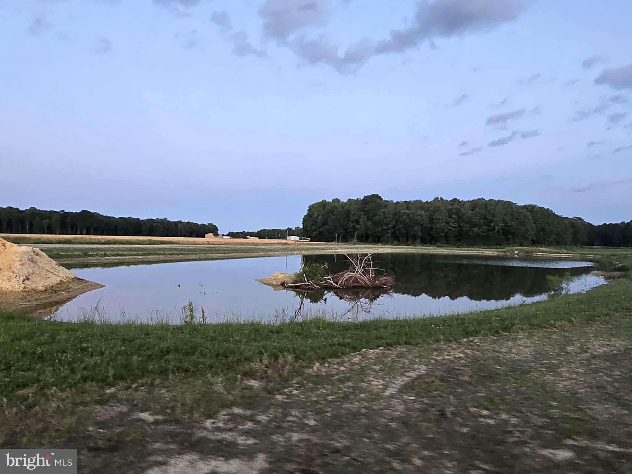 NONE AVAILABLE - Farm
