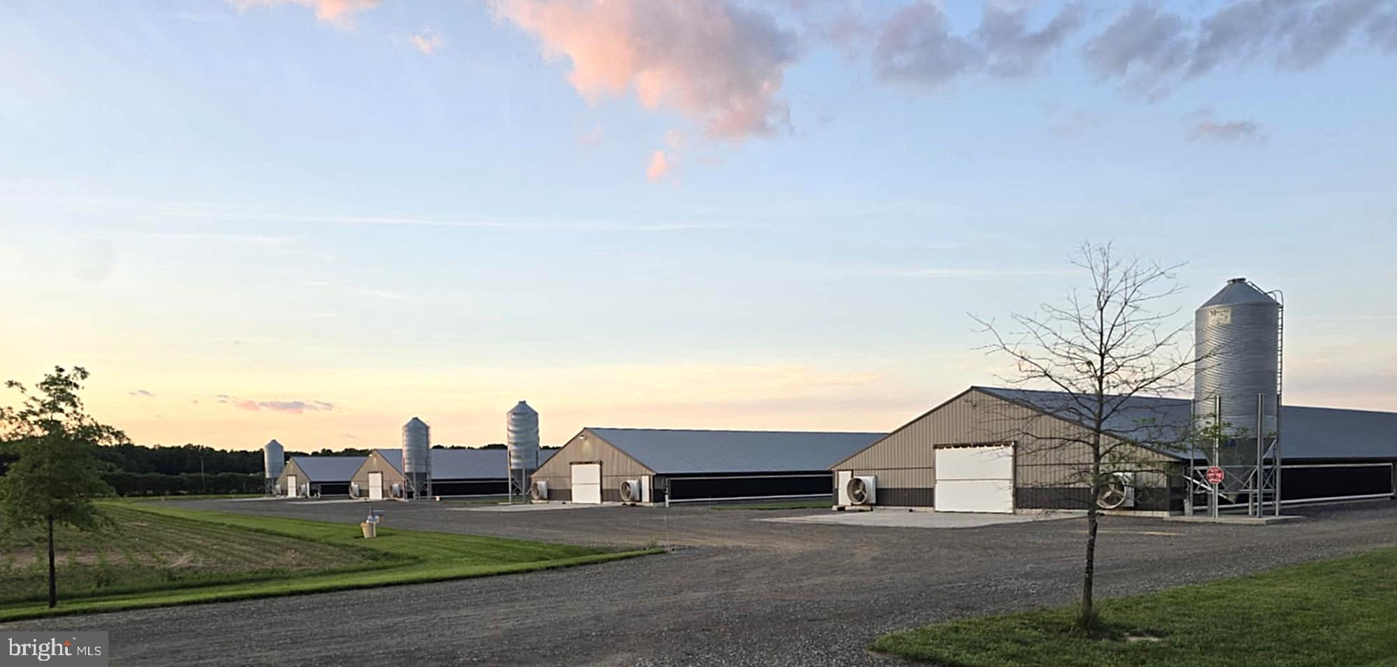Poultry farm features a total of 60.57 acres (40 acres tillable, 8.5 acres wooded, 1.5-acre retention pond) and a 40x72 shop that has garage parking and a separate space that could be finished for permanent living. Located approx. 5 miles from the DE line. Expired site evaluation-no septic on property.