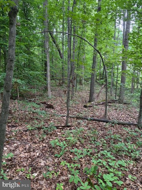 ROLLING WOODS - Land