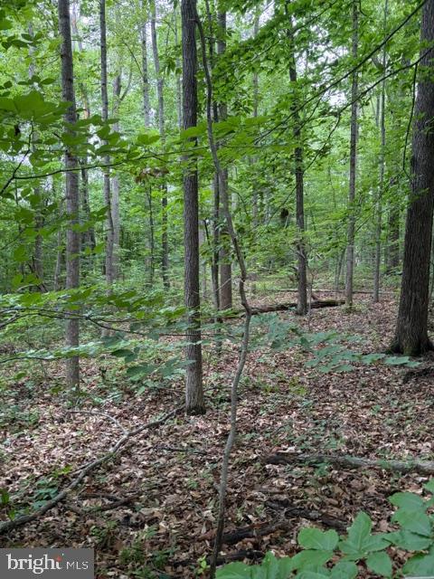 Two lots were merged into one, which makes this 2.5 acre wooded property a gem.  You can enjoy this water access lot in Rolling Woods, which is on the public side of Lake Anna. Great place to build your perfect lake home for those who enjoy lake life. Location at the end of the cul-de-sac provides for less traffic and peace & quiet. The gated common area is around the corner on Castaway Beach Rd, which has a boat ramp and picnic area. The lot comes with boat slip #73.  This is a friendly neighborhood with quick access to Hwy 522 or Rt 208. Convenient to Culpeper, Fredericksburg and Orange.

Lake Anna is a residential resort area with so much to offer.  Water activities, trivia nights, watering holes, monthly Bingo at the Belmont Community Center,  miniature golf, restaurants, book clubs, social clubs and more.  The Lake Anna community is a great place to retire, raise a family or just enjoy weekend vacations.