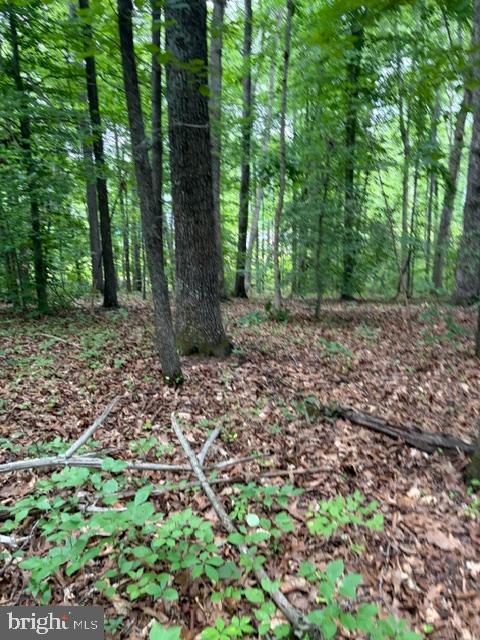 ROLLING WOODS - Land
