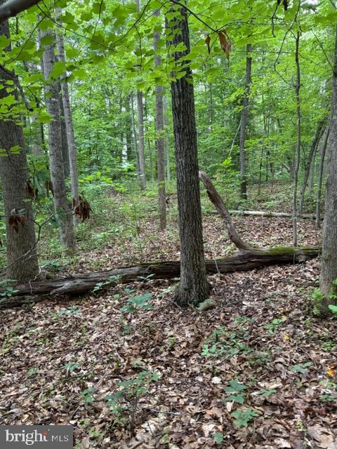 ROLLING WOODS - Land