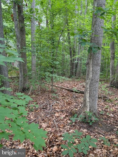 ROLLING WOODS - Land