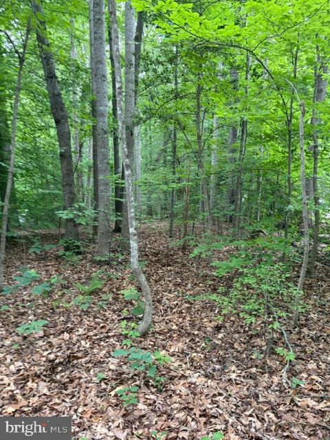 ROLLING WOODS - Land