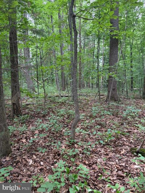 ROLLING WOODS - Land