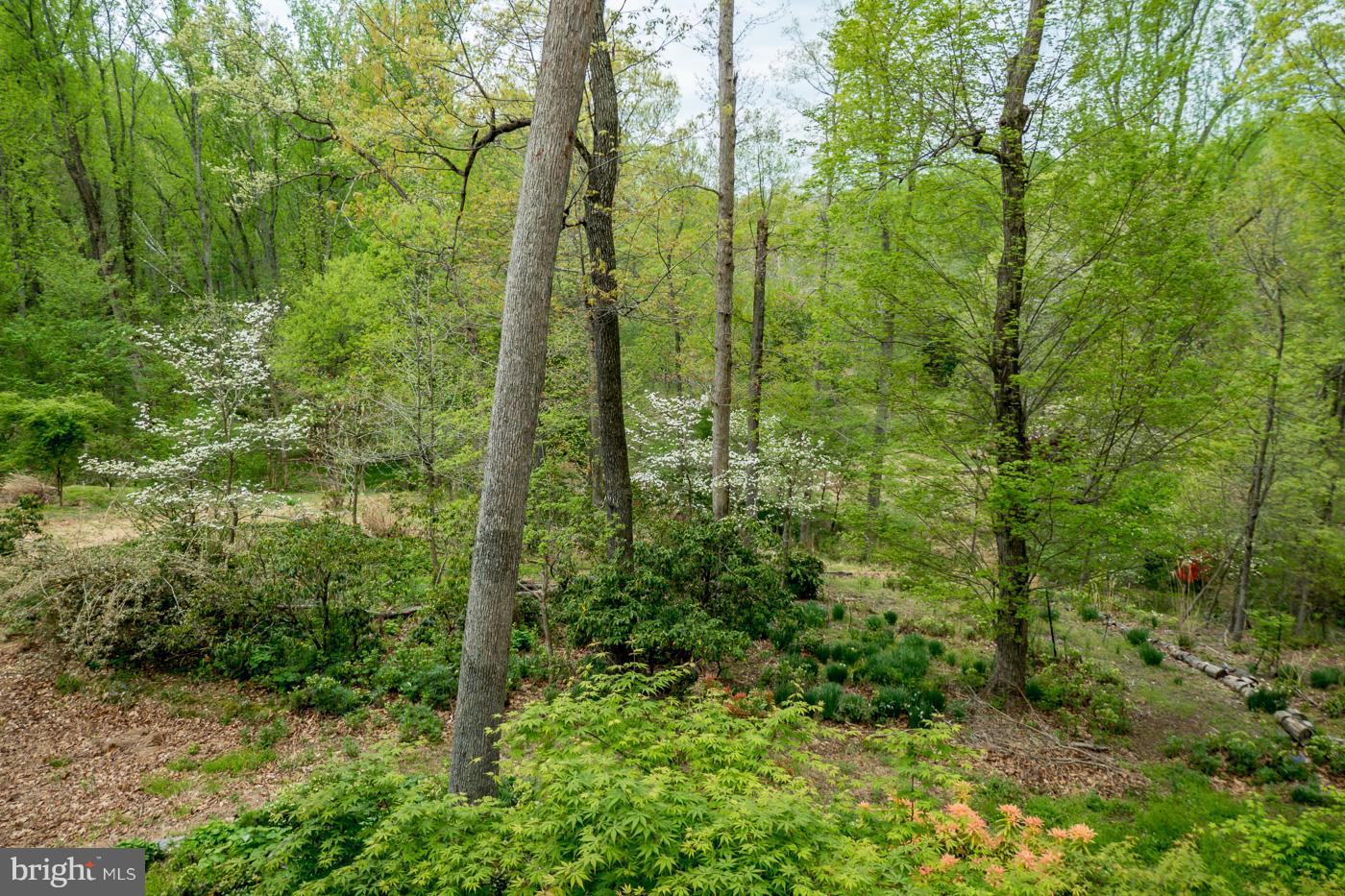 DARNESTOWN - Residential