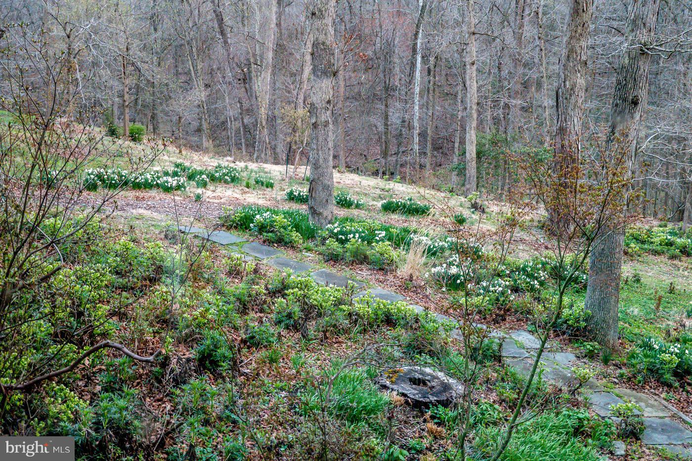 DARNESTOWN - Residential