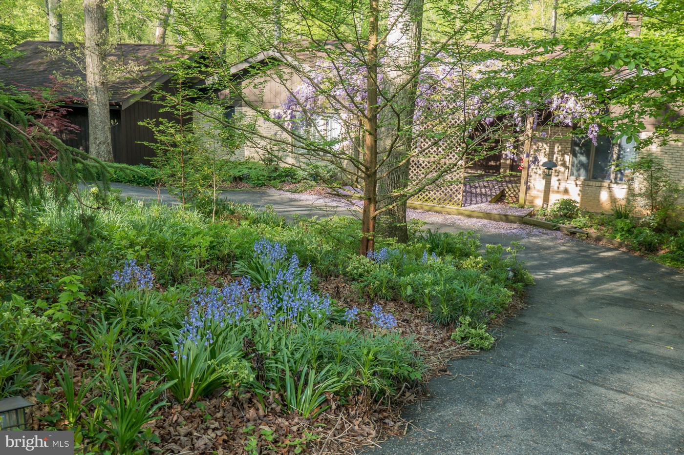DARNESTOWN - Residential