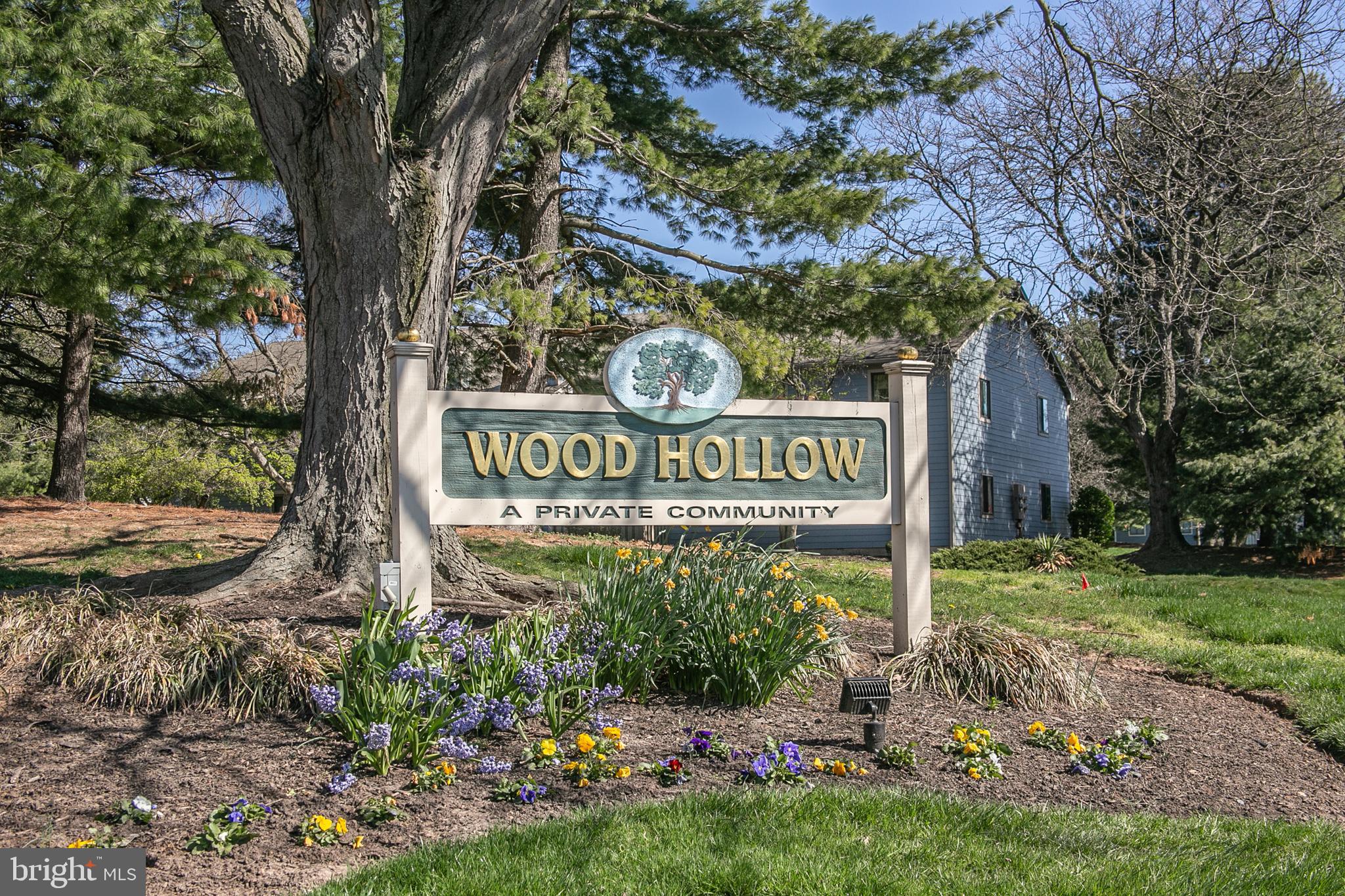 WOOD HOLLOW - Residential