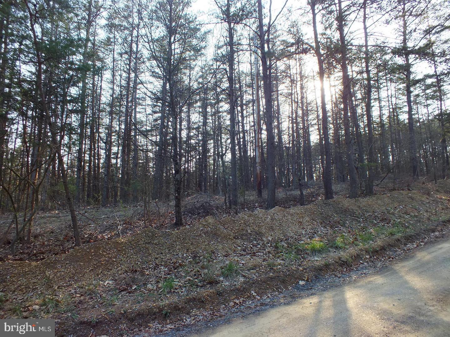 CHESTNUT GROVE ESTATES - Land