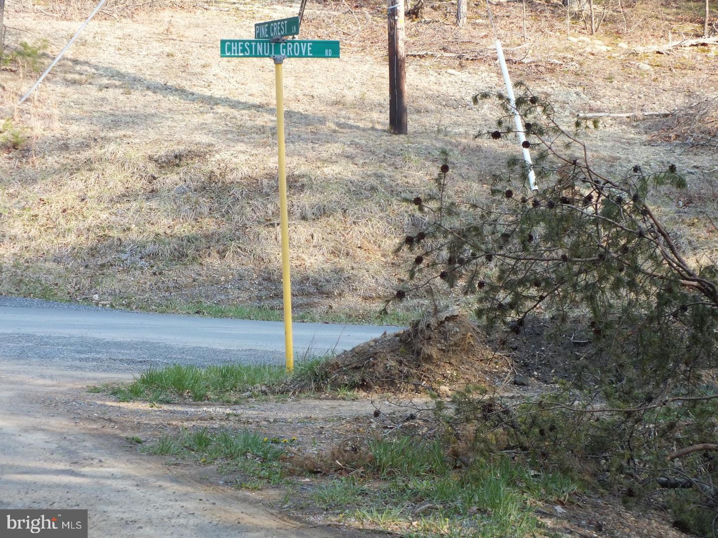 CHESTNUT GROVE ESTATES - Land