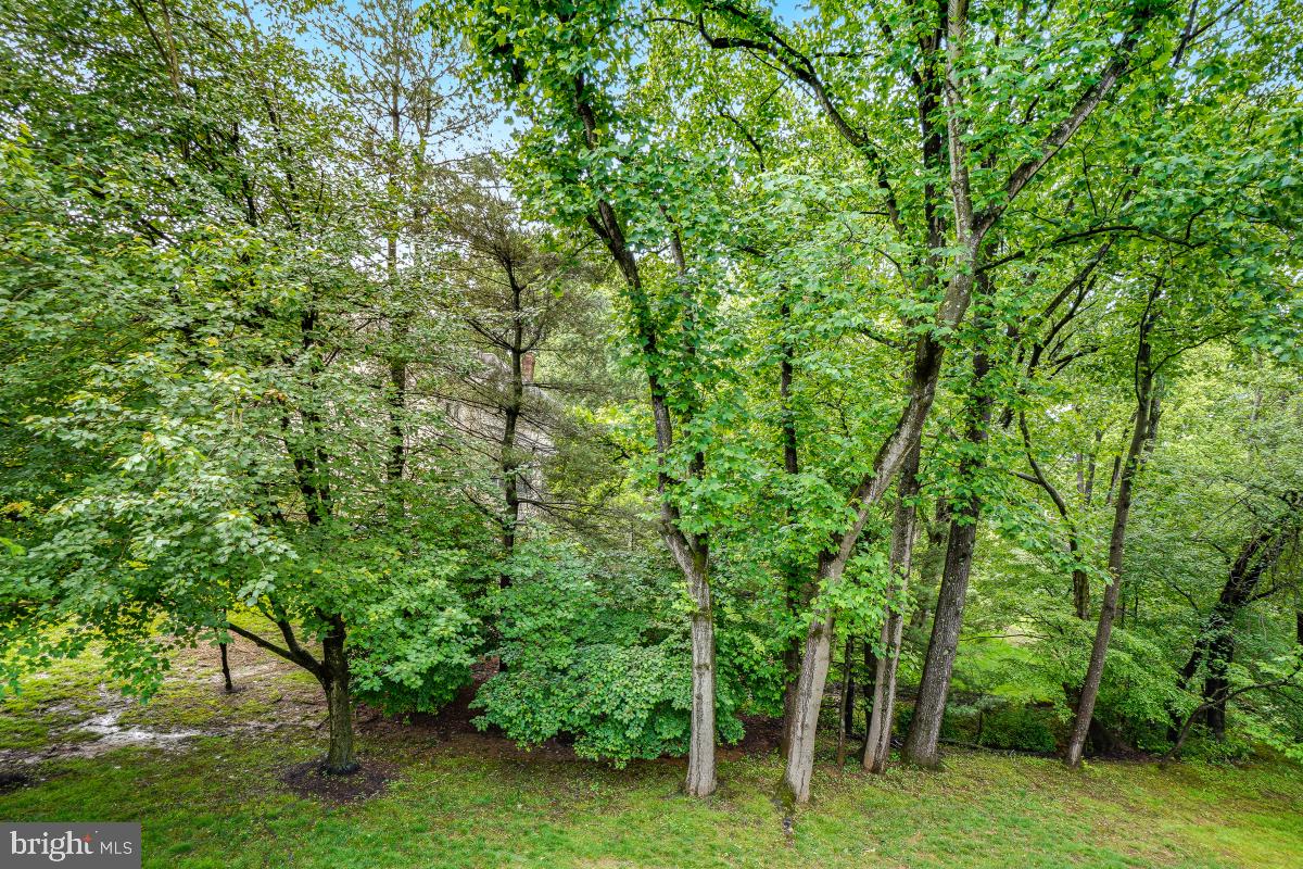 WOODLANDS - Residential