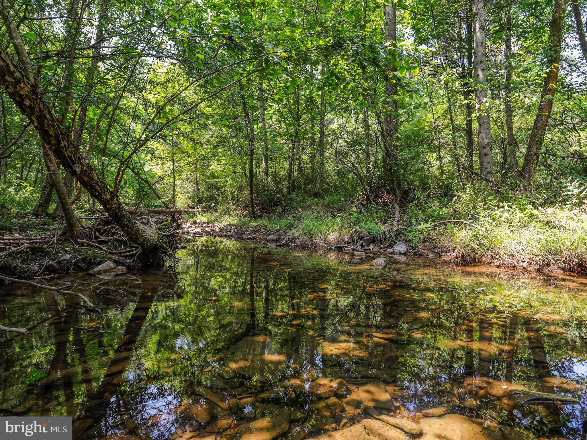 6.38 Acres – Build Your Dream Home or Barndominium!
Escape the hustle and bustle and embrace the peaceful charm of country living on this beautiful 6.38-acre property. Imagine waking up to the sounds of nature, enjoying your own private stream, and having plenty of room for your animals, outdoor hobbies, and future dreams.
This property is ready for your vision with a high-producing well yielding 50+ gallons per minute, a 200-amp electric service with camper hookup, and an approved perc already in place. The cleared pasture area stretches alongside a picturesque stream, creating the perfect setting for a small farmette, weekend getaway, or forever home.
Bring your chickens, goats (up to 6), and even your horses—up to two horses are permitted. There's plenty of space to ride ATVs, garden, or simply enjoy the privacy and tranquility of your own land.
With utilities already installed and major groundwork complete, this is a rare opportunity to start building right away and create the lifestyle you've been dreaming of.