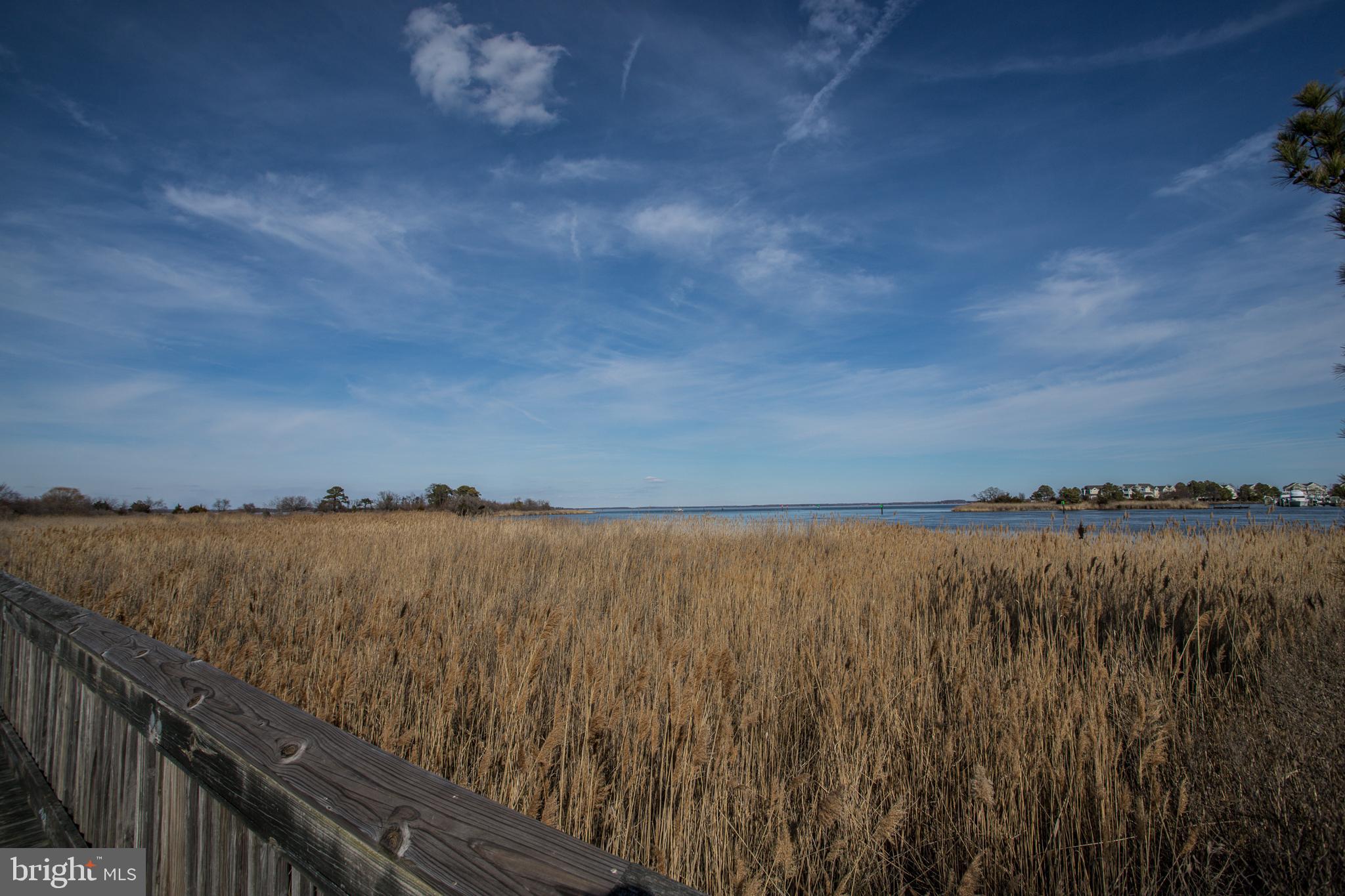 PINEY NARROWS - Residential