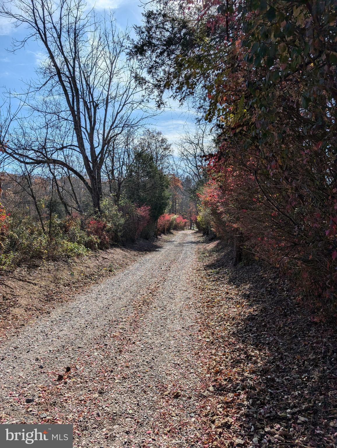 RURAL - Farm