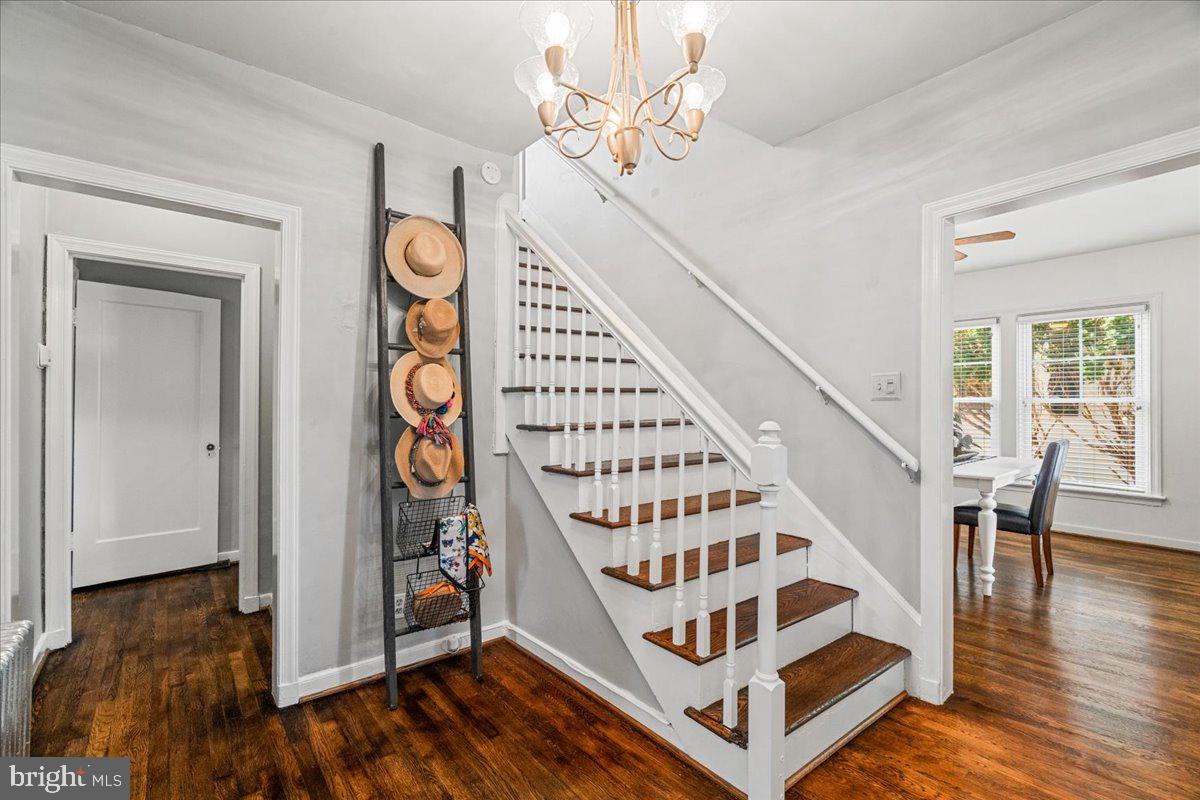 DOWNTOWN FREDERICK - Residential