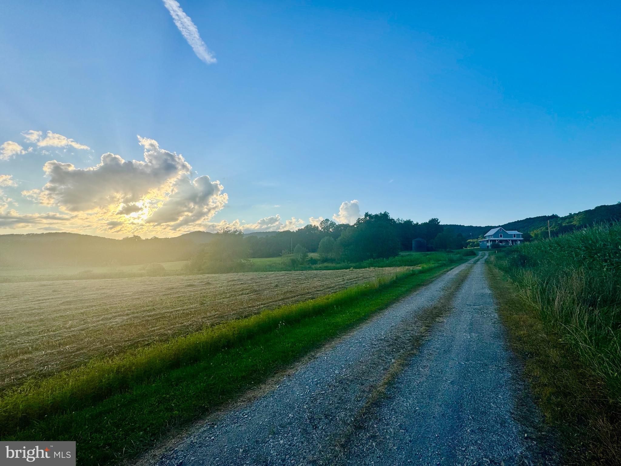 NONE - Farm