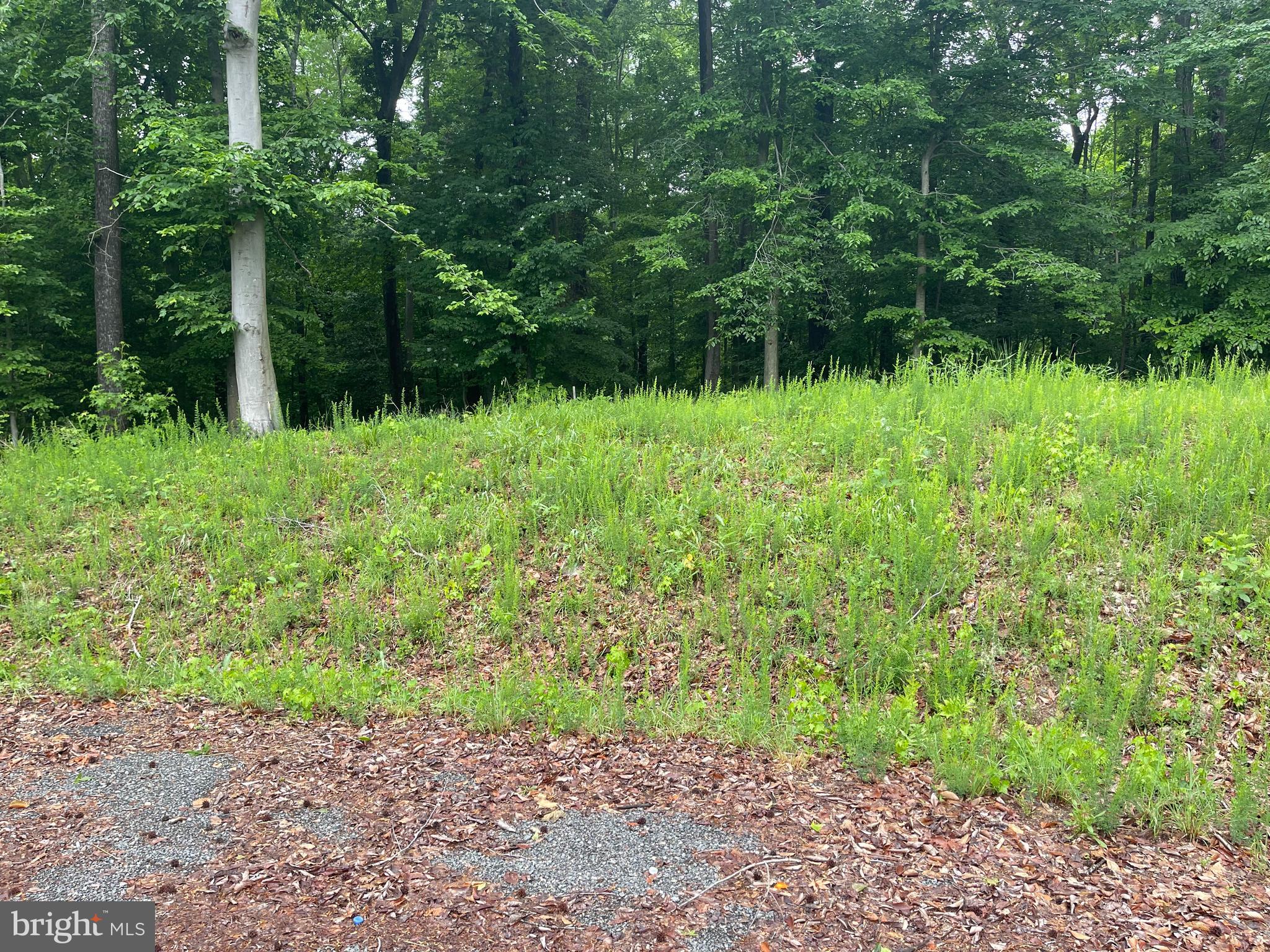 Potomac River 10 acre lots are now available in Potomac Landing. Enjoy the best of both worlds with the privacy of 10+ acres and the amenities of this sought after community. Golf cart to Tim's II or Rick's on the River restaurants. Canoe, kayak or catch trophy bass in the private pond. Launch your boat and anchor off the community beaches on your deeded access to the Potomac. Builders are on site so buy now and build now or buy now and build later. 
Appointment required, Call for your private tour.
CLOSE TO 95/17 AND DOWNTOWN FREDERICKSBURG. DAHLGREN, AND THE NEW 301 BRIDGE! APPROVED 4 BDRM CONV DRAIN FIELDS. WOODED HOME SITES WITH PLENTY OF PRIVACY AND THE AMENITIES OF POTOMAC LANDING. INVENTORY IS LIMITED, LOTS STARTING FROM THE LOW 100'S. SEE DOCS

INTERESTED IN BUILDING A HOME? Beautiful Potomac Landing TO BE BUILT!! Several models & floor plans to choose from! Bring your own plans or builder or choose from our! Some homes are ready for immediate construction!! Choose your finishes!