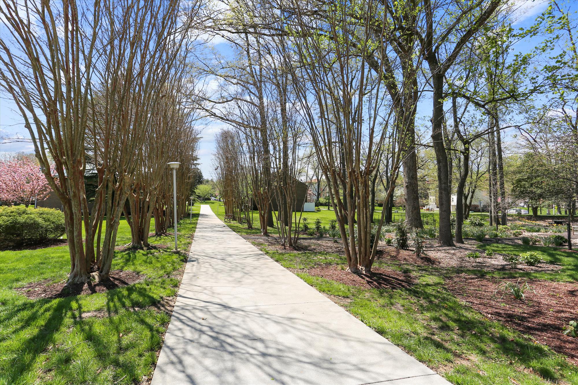 MONTGOMERY MUTUAL COOP - Residential