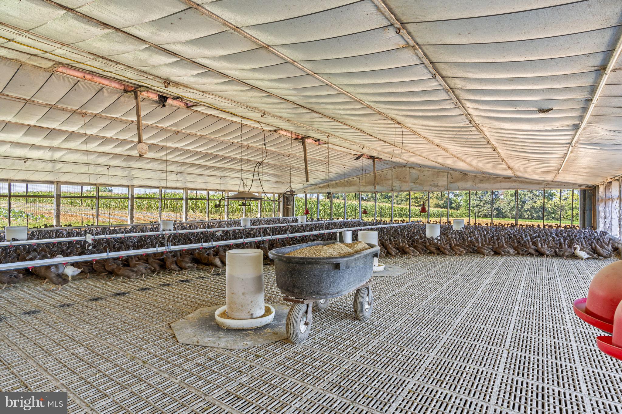 EARL TWP - Farm
