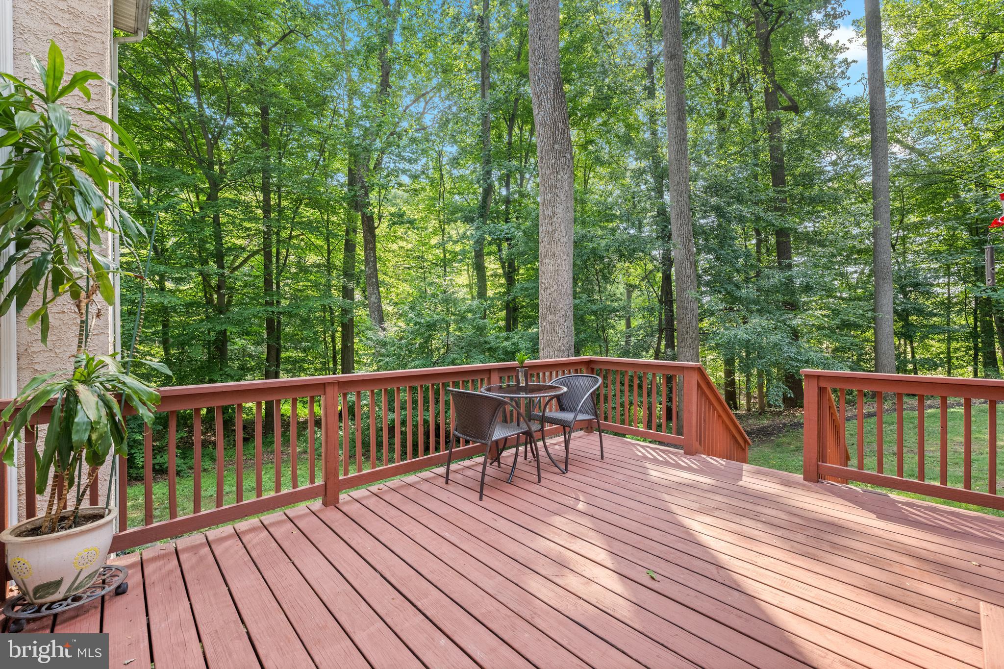 BARTON MEADOWS - Residential