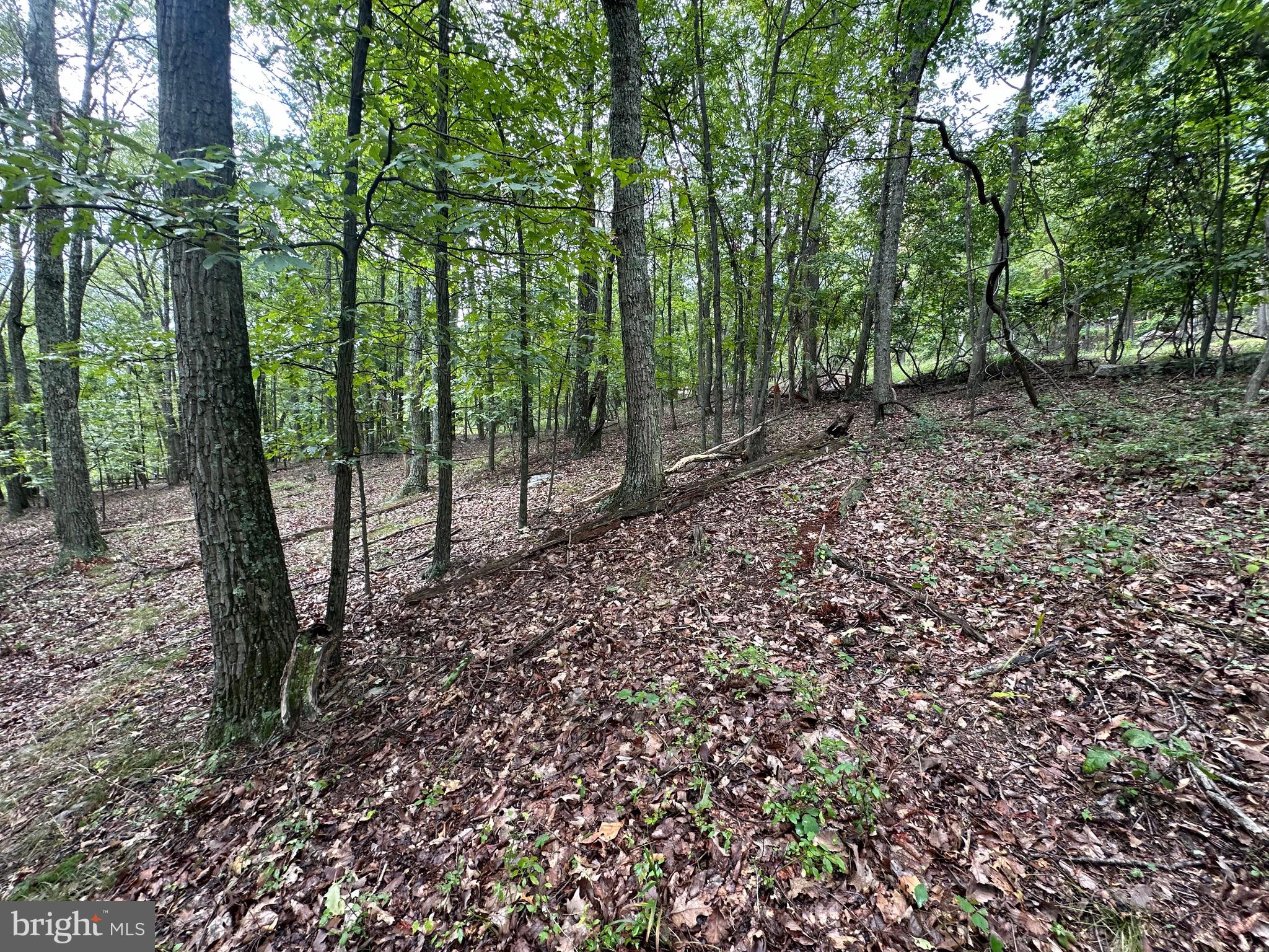 VALLEY HIGH TIMBER FARMS - Land