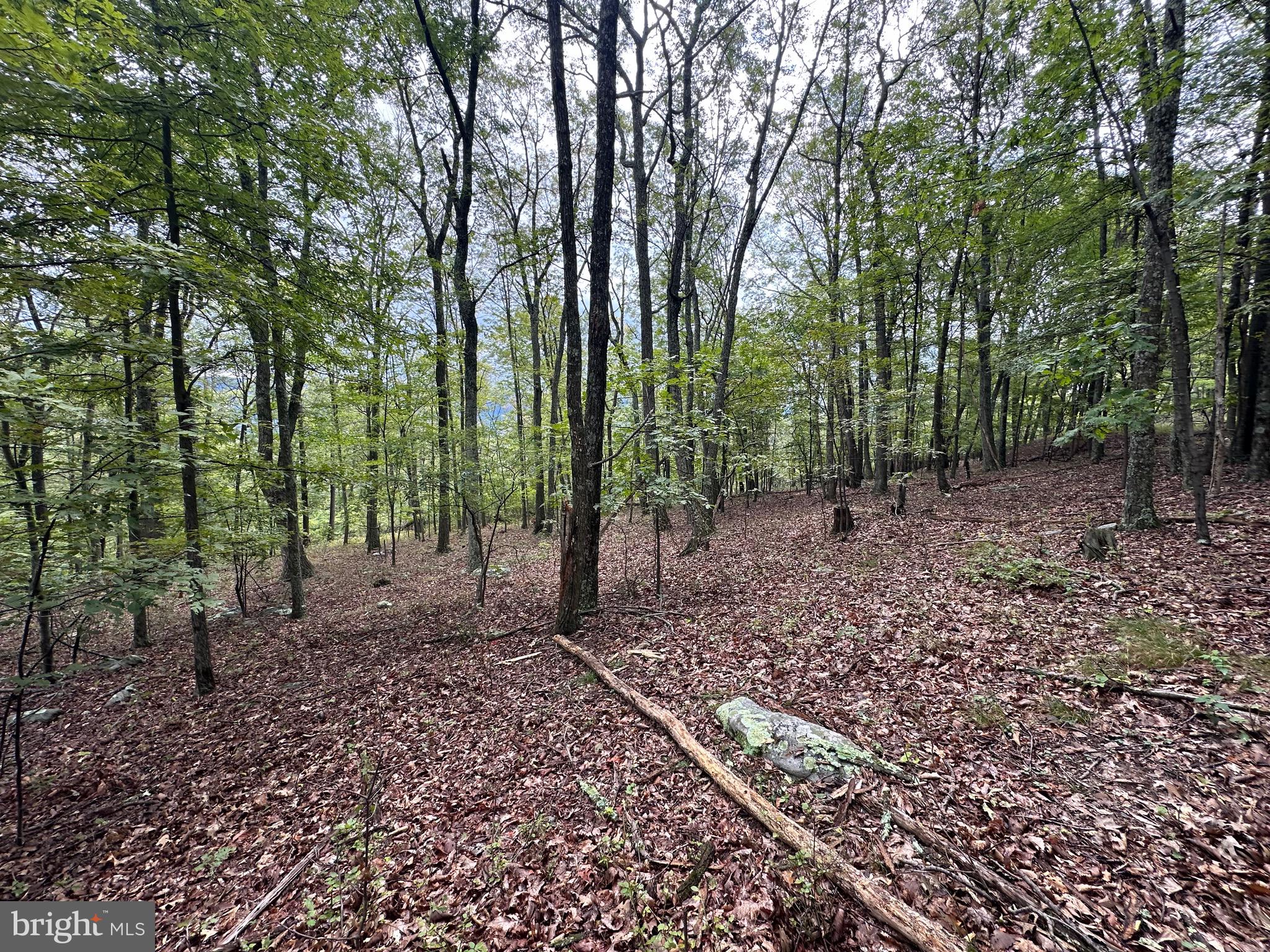 VALLEY HIGH TIMBER FARMS - Land