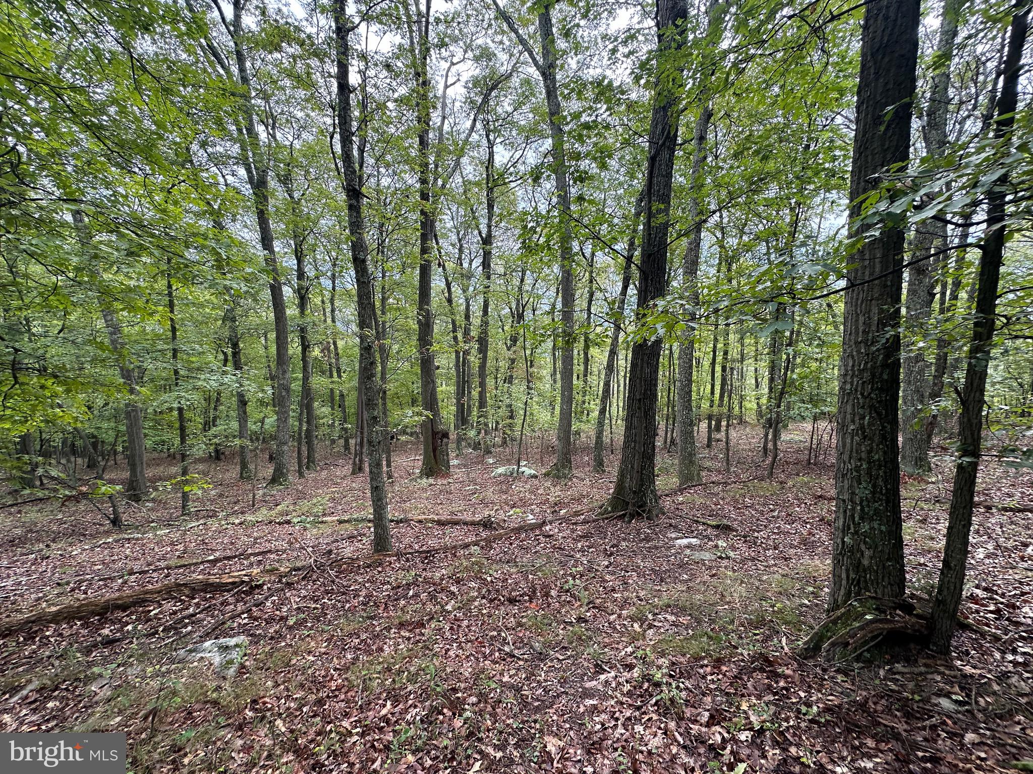 VALLEY HIGH TIMBER FARMS - Land