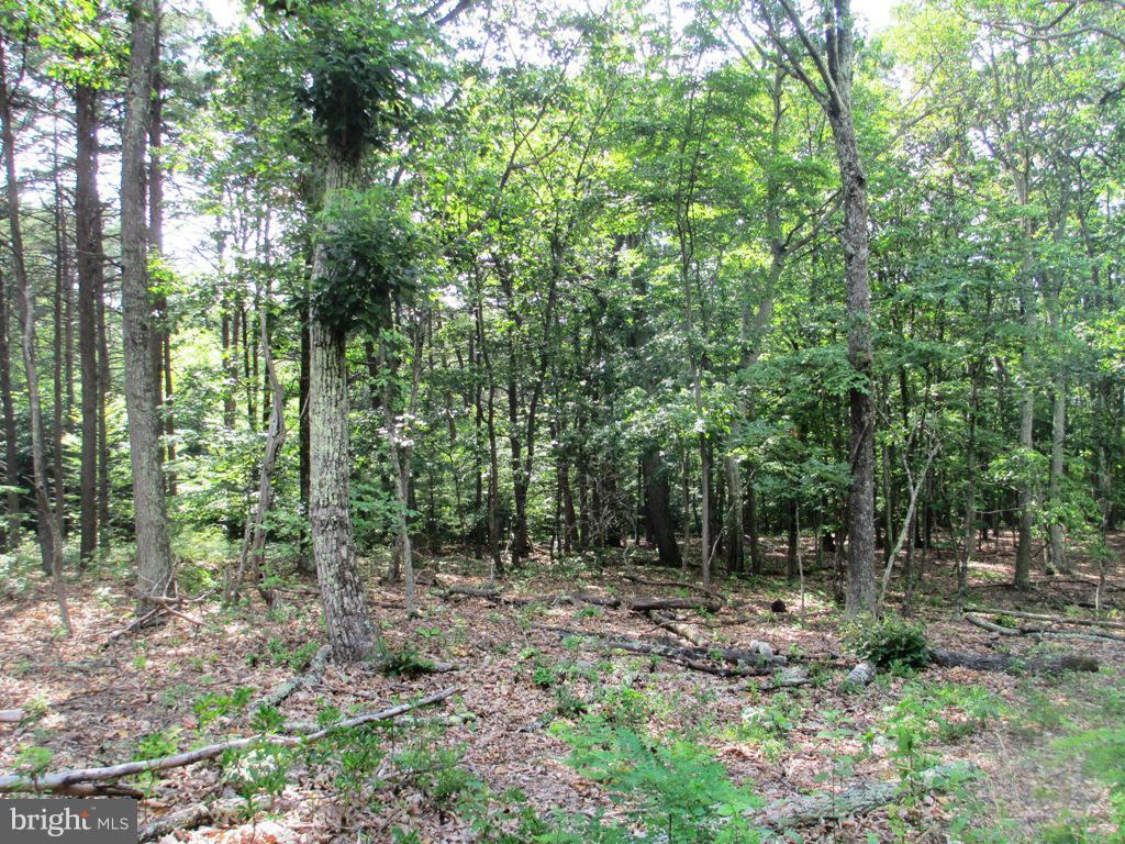 PARKS HOLLOW - Land