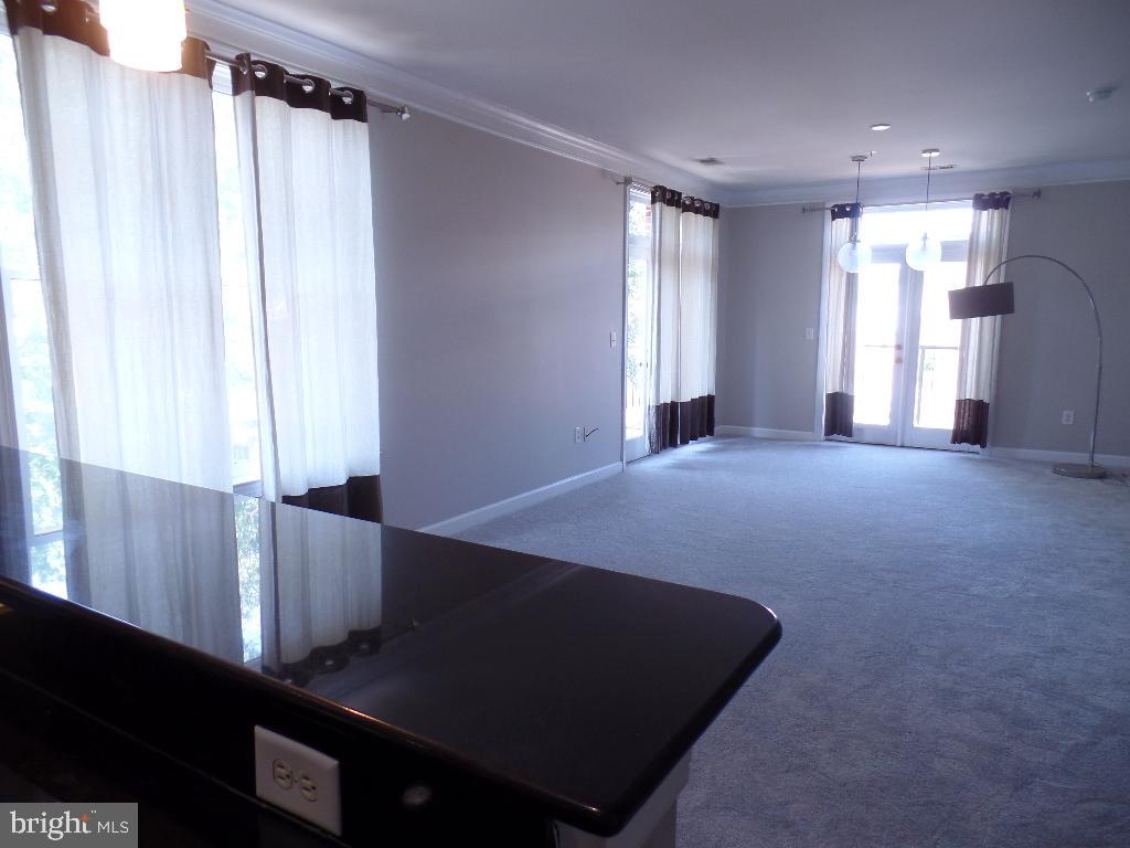 DOWNTOWN FREDERICK - Residential