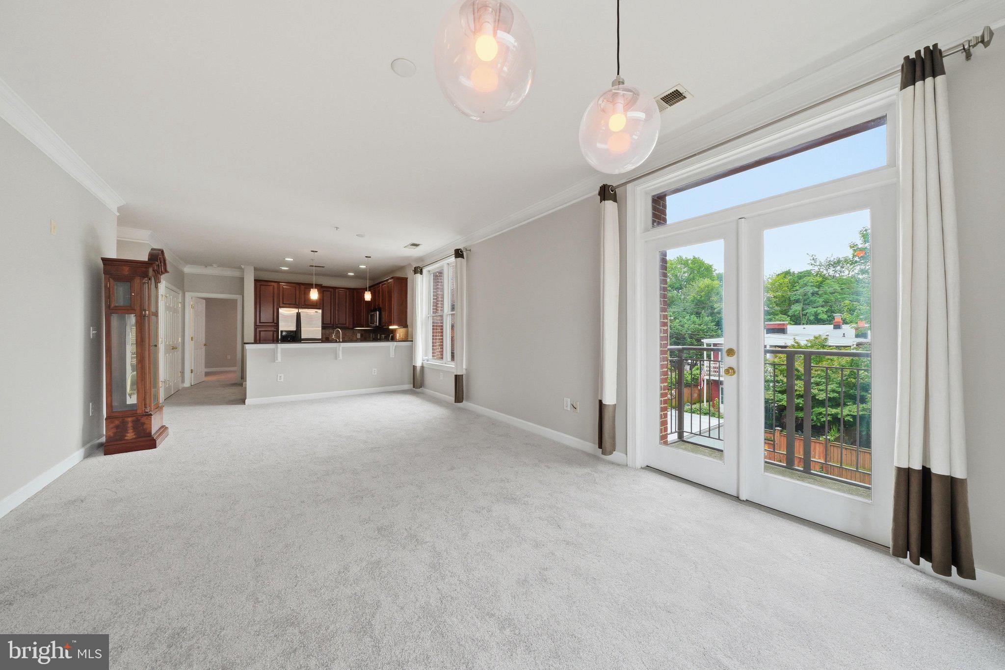DOWNTOWN FREDERICK - Residential