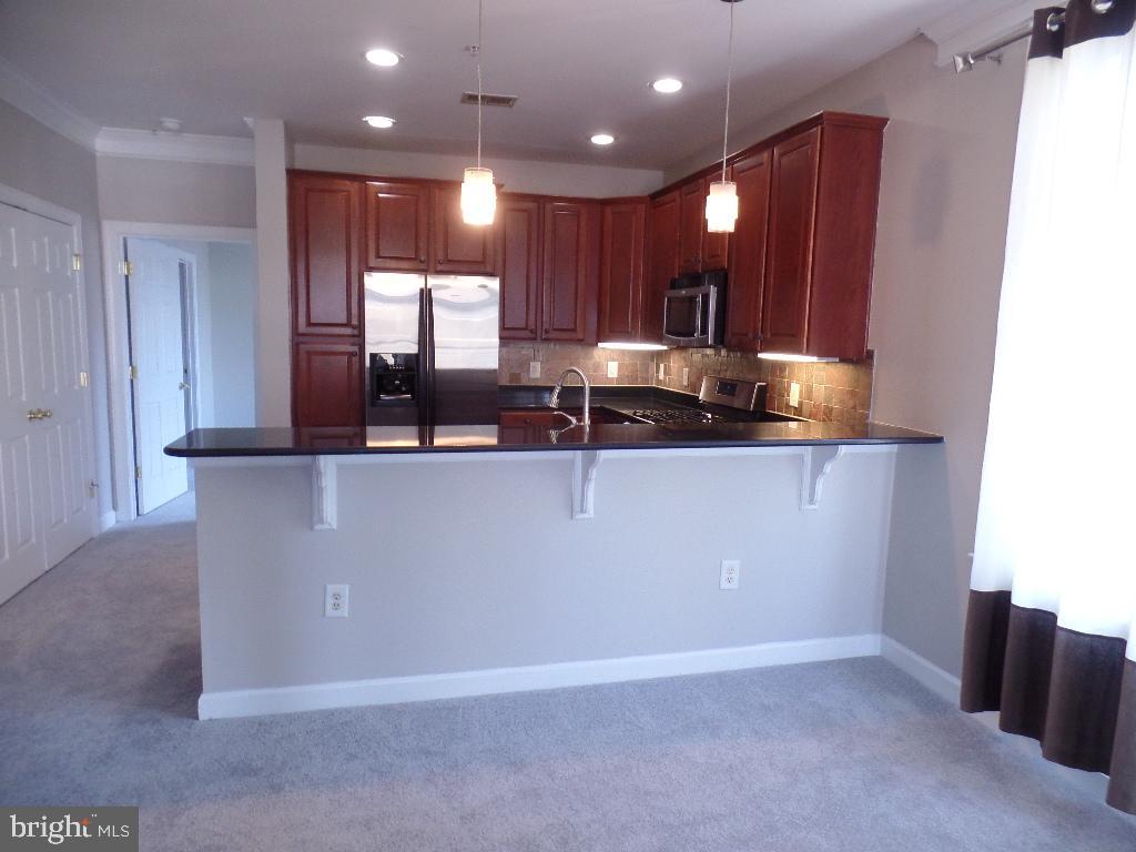 DOWNTOWN FREDERICK - Residential