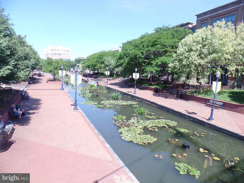 DOWNTOWN FREDERICK - Residential