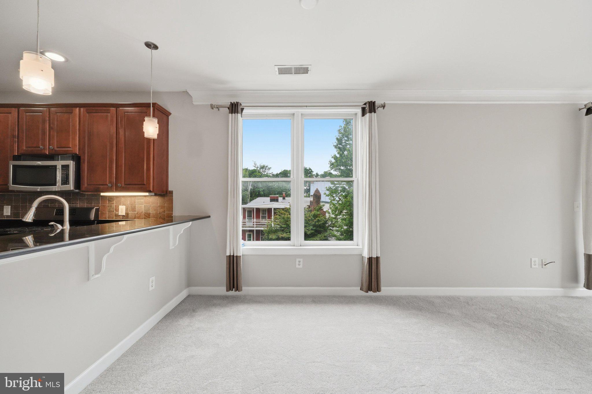 DOWNTOWN FREDERICK - Residential