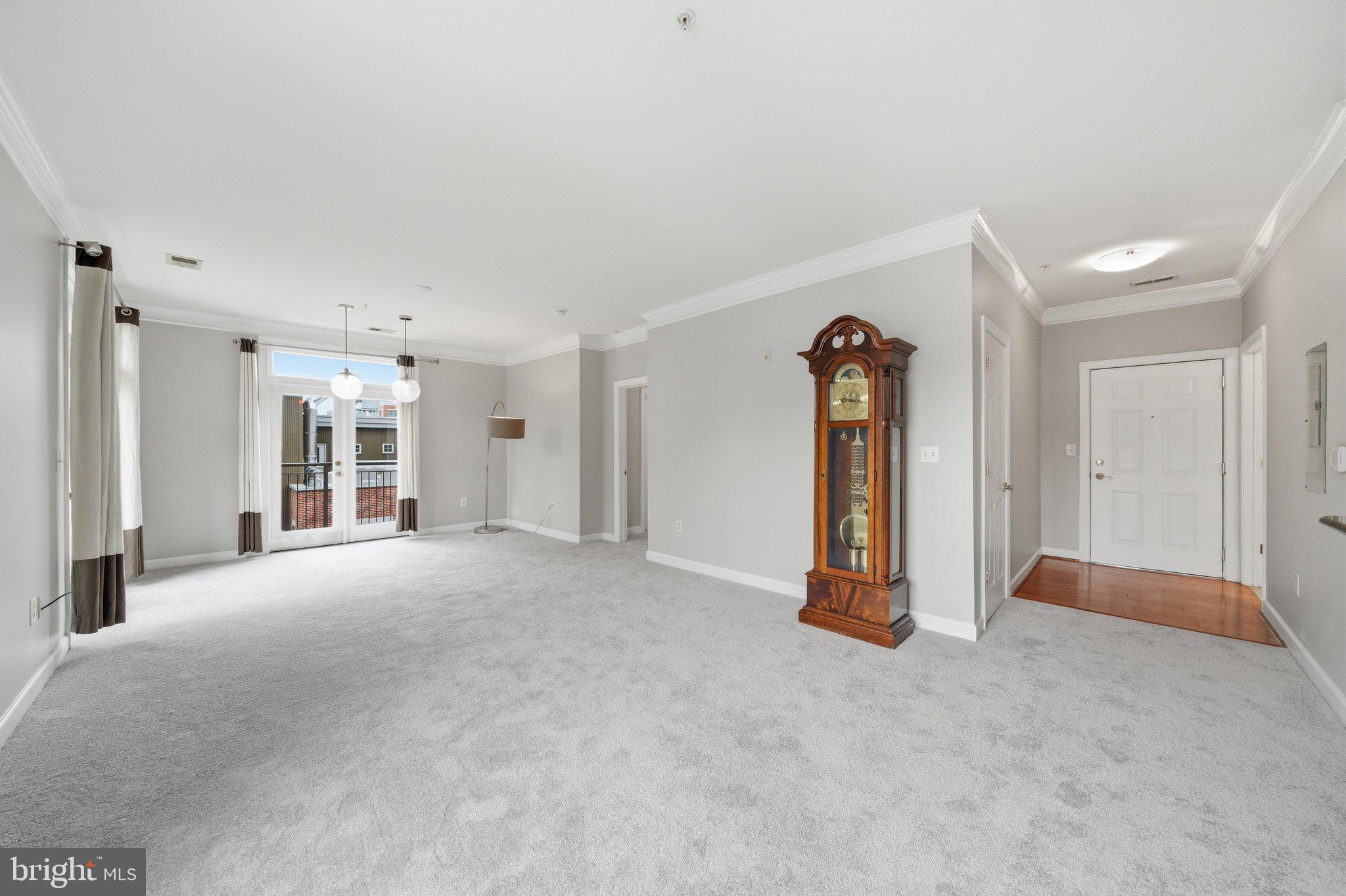 DOWNTOWN FREDERICK - Residential