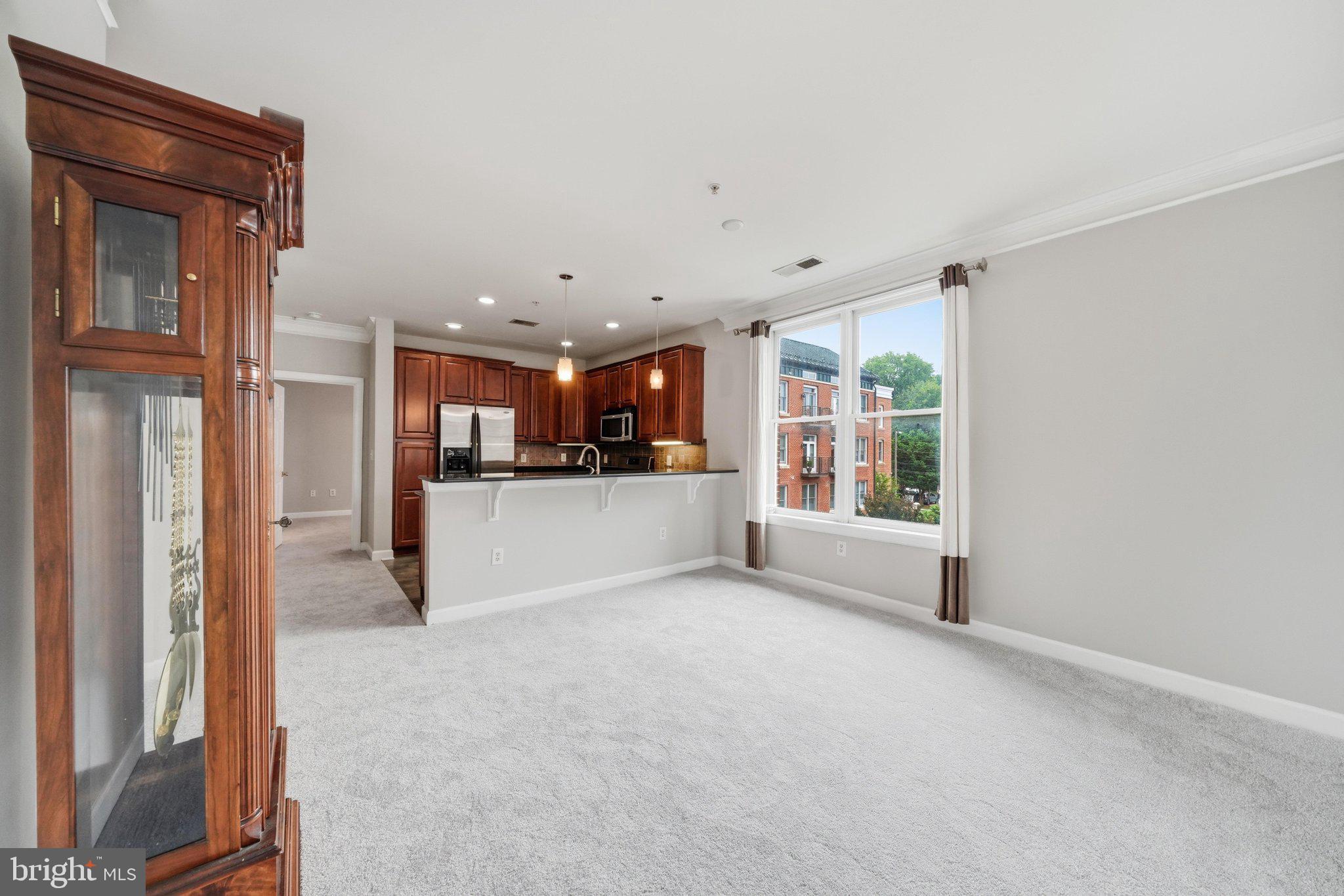 DOWNTOWN FREDERICK - Residential