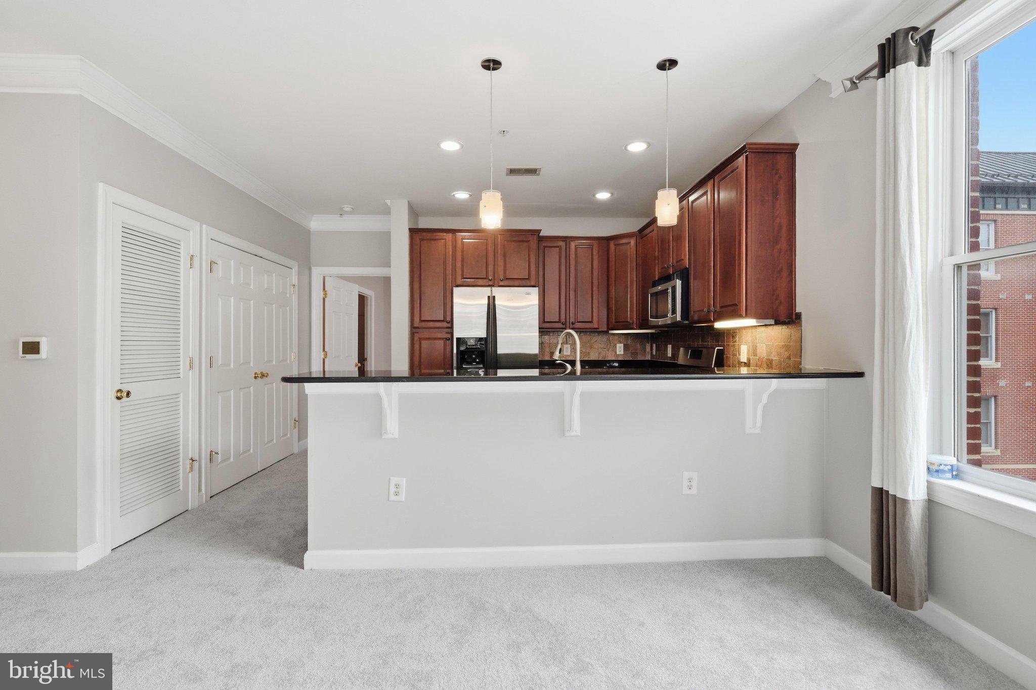 DOWNTOWN FREDERICK - Residential
