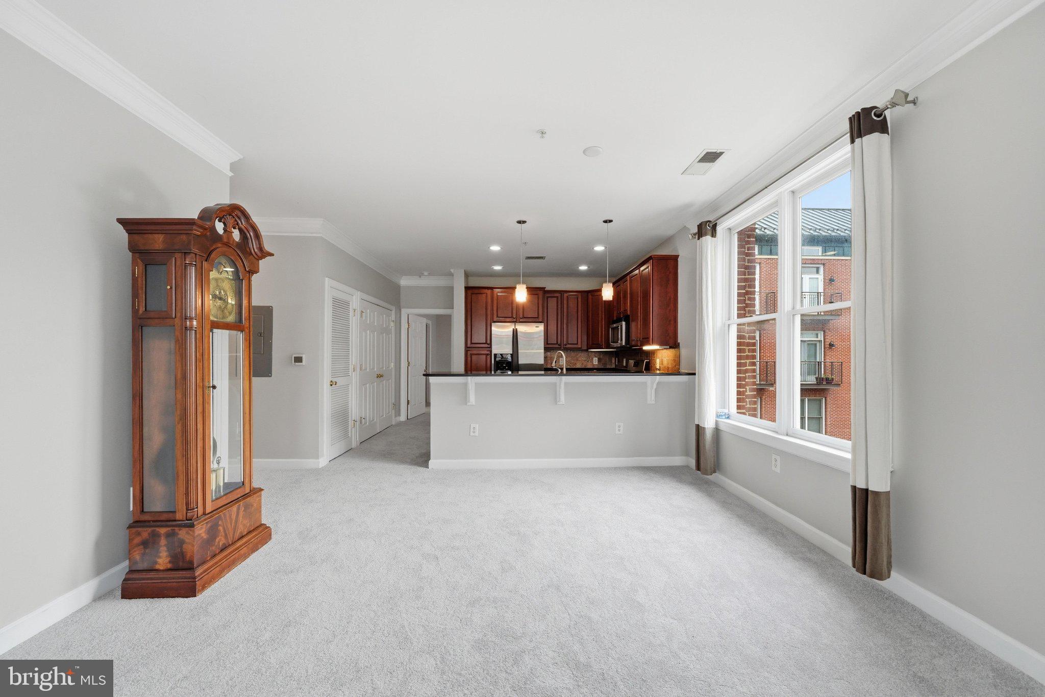 DOWNTOWN FREDERICK - Residential