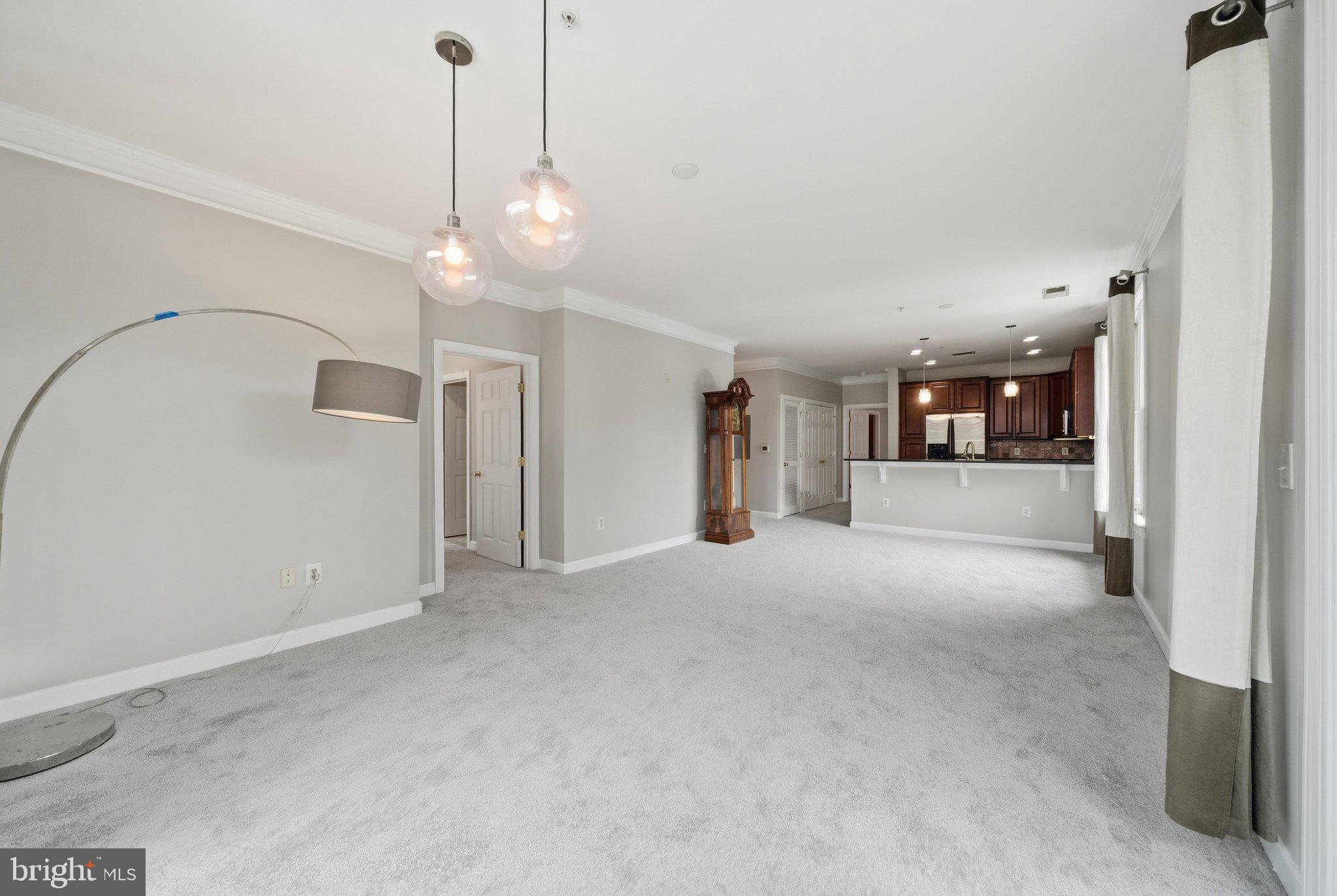 DOWNTOWN FREDERICK - Residential