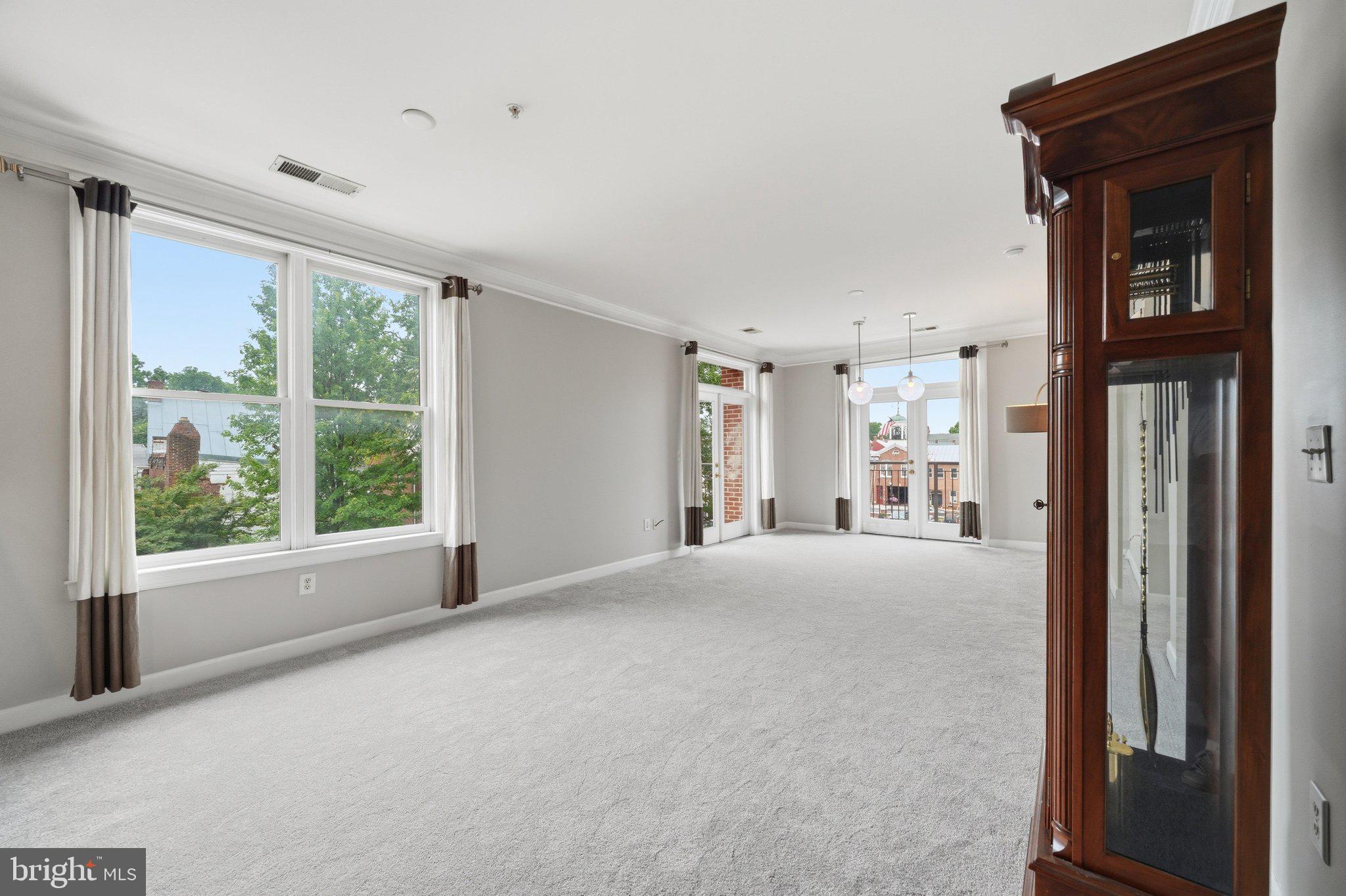 DOWNTOWN FREDERICK - Residential