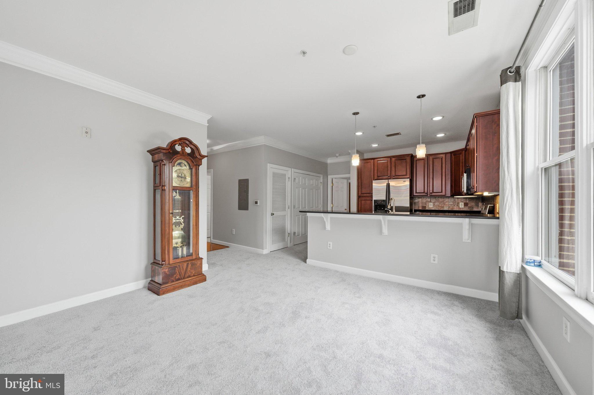 DOWNTOWN FREDERICK - Residential