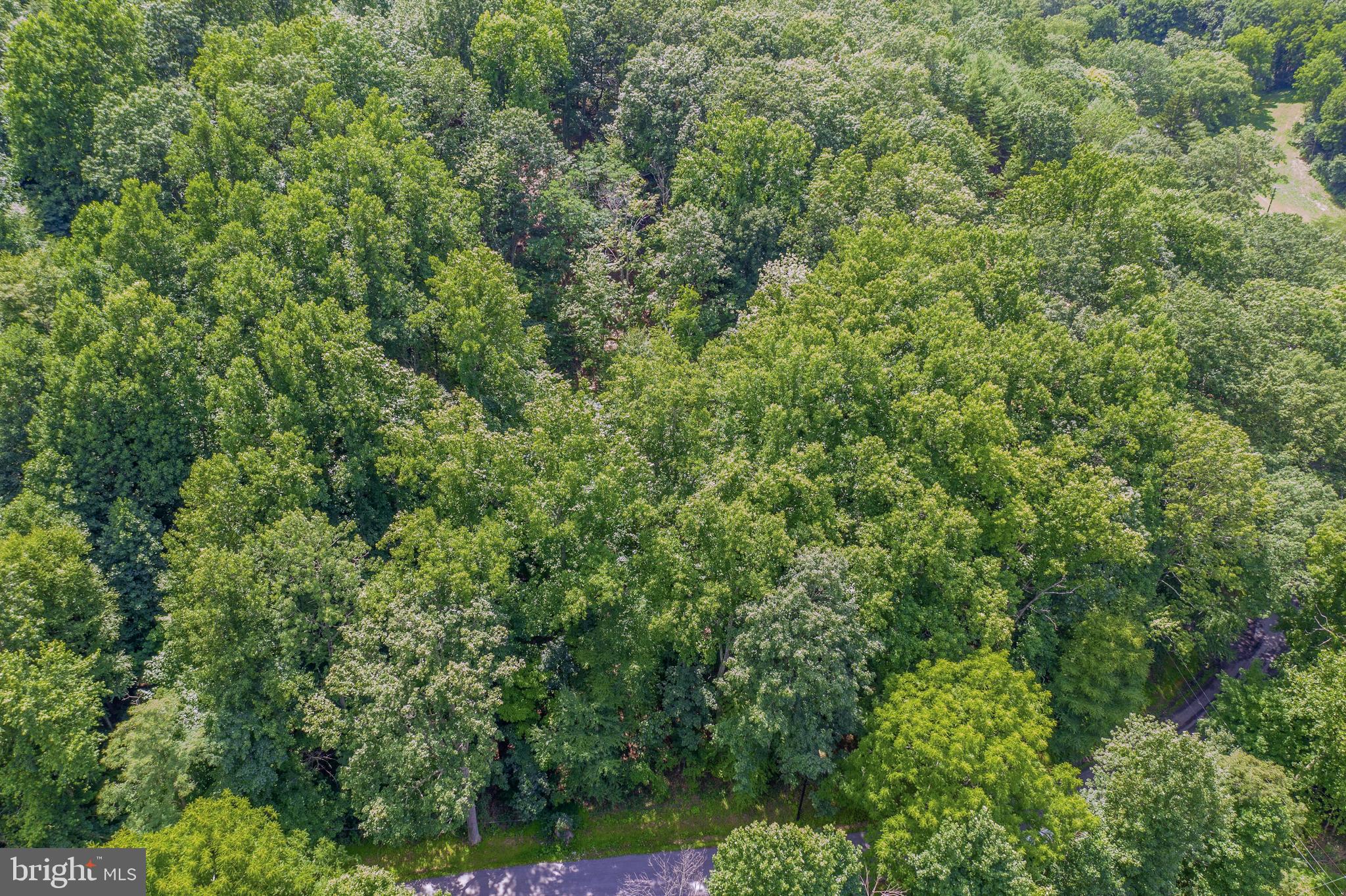 1.75 ACRE BUILDING LOT MINUTES FROM ROCKY GAP STATE PARK! This property is completely wooded and waiting for your mountain oasis. The land is sloped but levels in the middle. Quiet and private with plenty of mature timber, nature ferns and wildlife. Rocky Gap State Park is located just at the other end of Old Hancock Road. Walk to the numerous hiking trails or take a quick drive to the resort/casino. Easily accessible to I-68. NO HOA OR COVENANTS.
