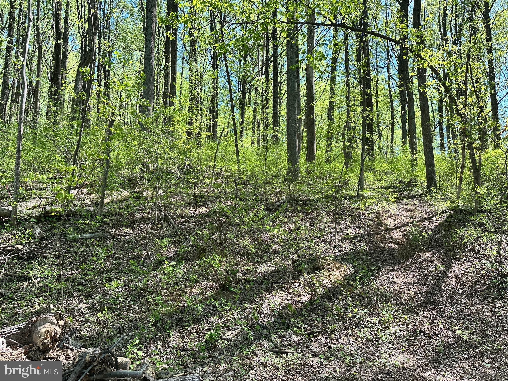 Build your dream home on this .47 acre lot located on Reid Dr in Shenandoah Farms. Enjoy community lake access, recreation areas and scenic mountain views. Enjoy the perfect mix of privacy and nature while staying close to local amenities.

Property back up to another lot also for sale (Tax Map: 15-E-5-5-5503, located on Wambach Ct), creating an opportunity to expand your space or invest in a second homesite.