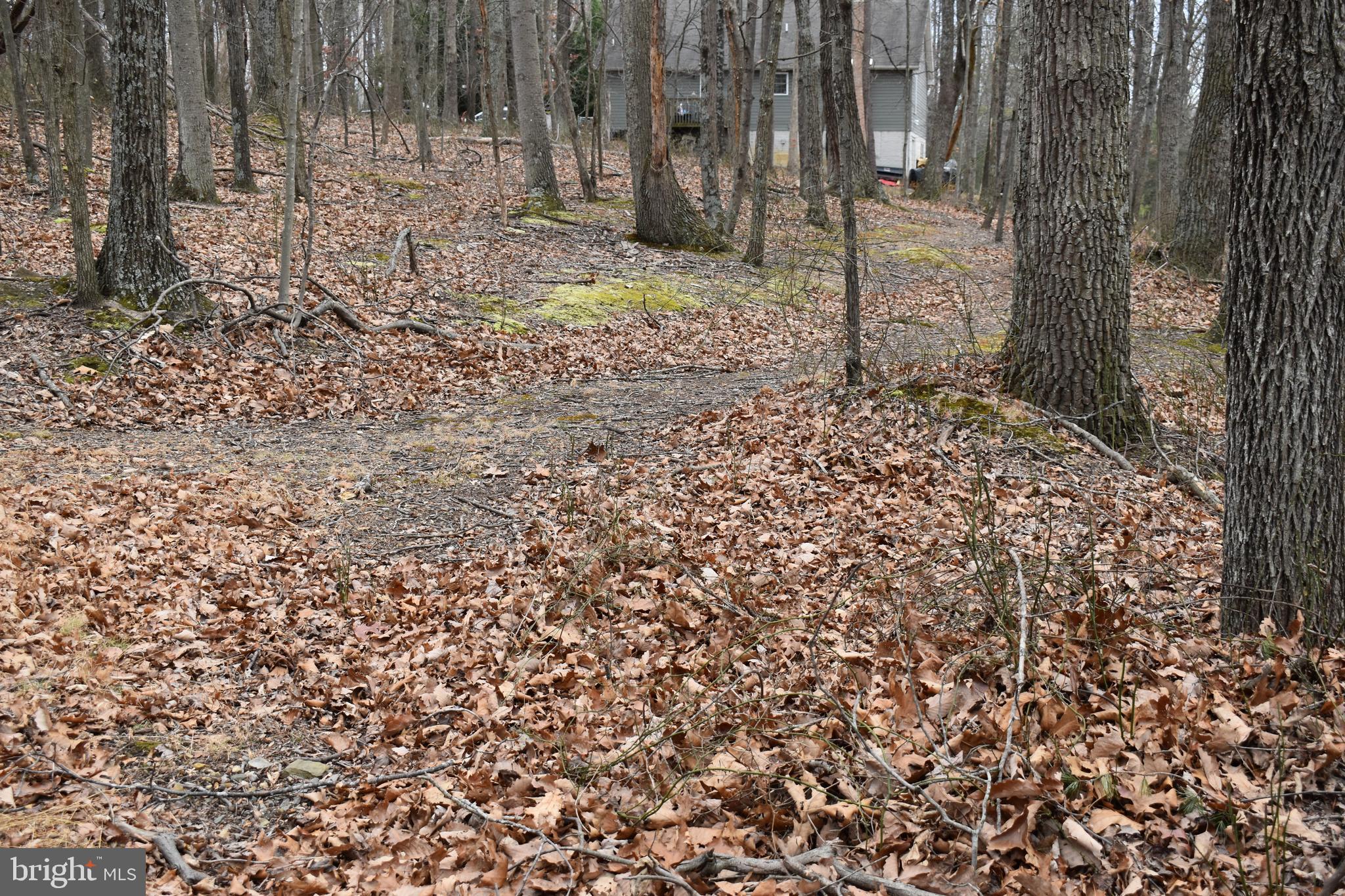 COLONIAL VILLAGE - Residential
