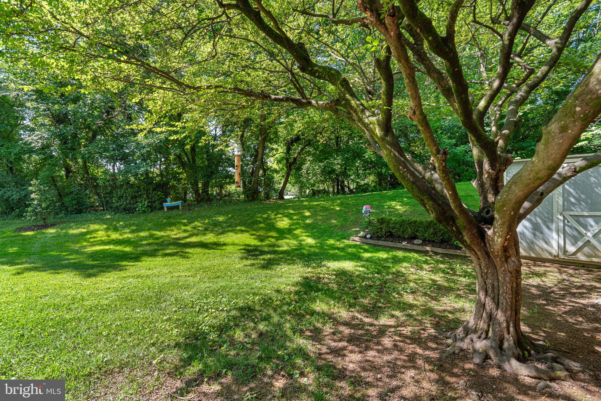 BEECH CREEK - Residential