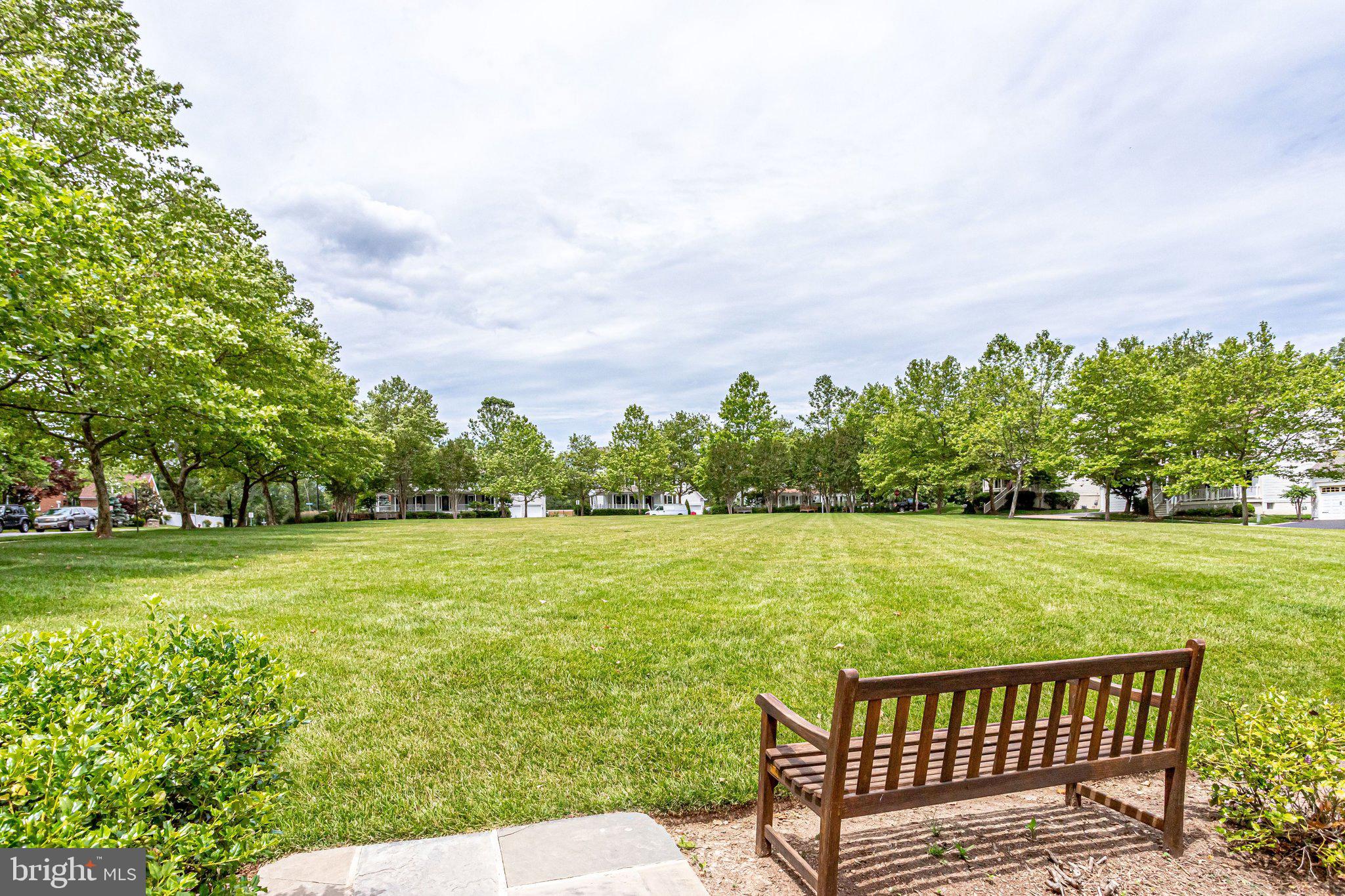 BELMONT GREENE - Residential