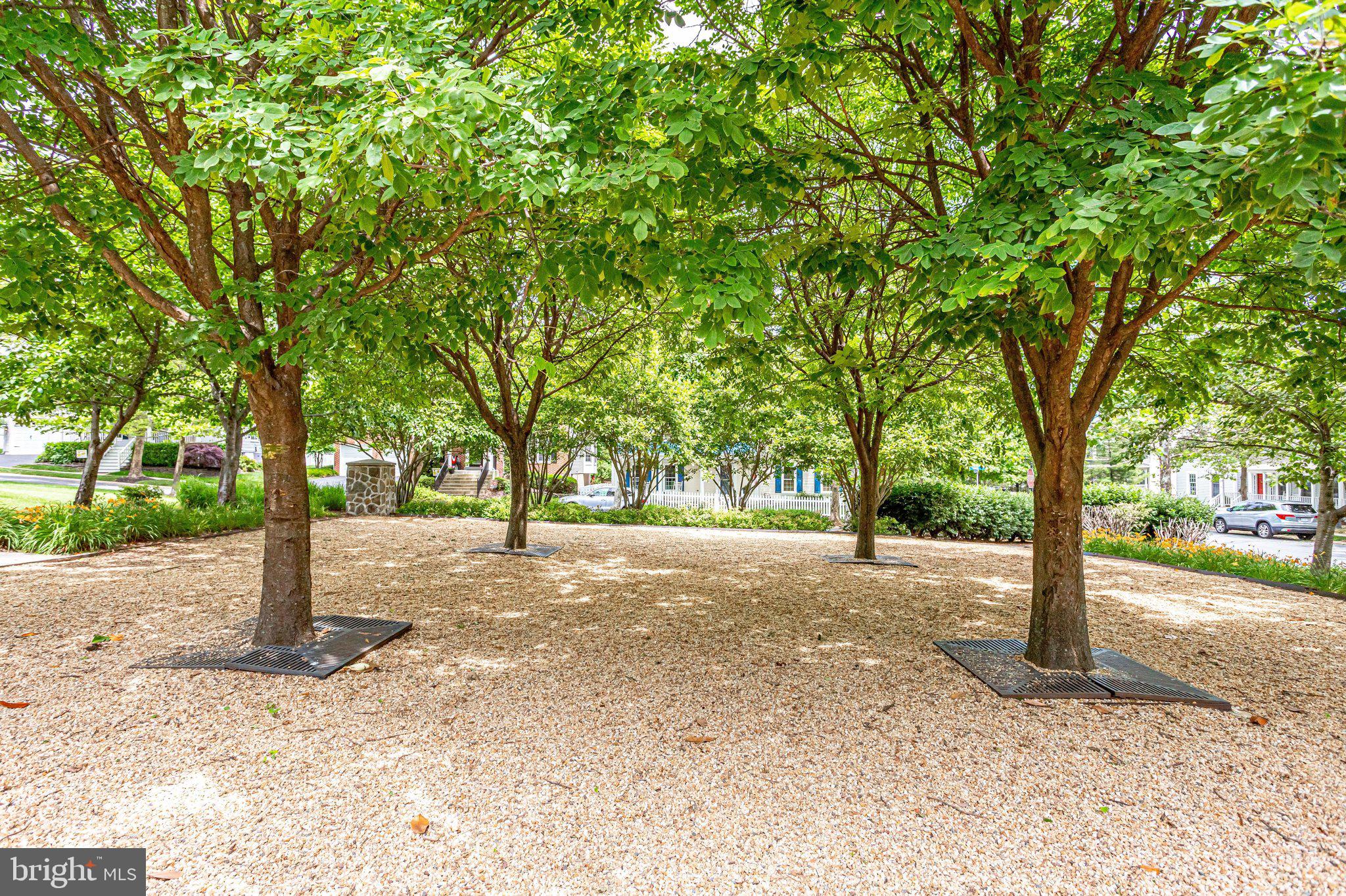 BELMONT GREENE - Residential